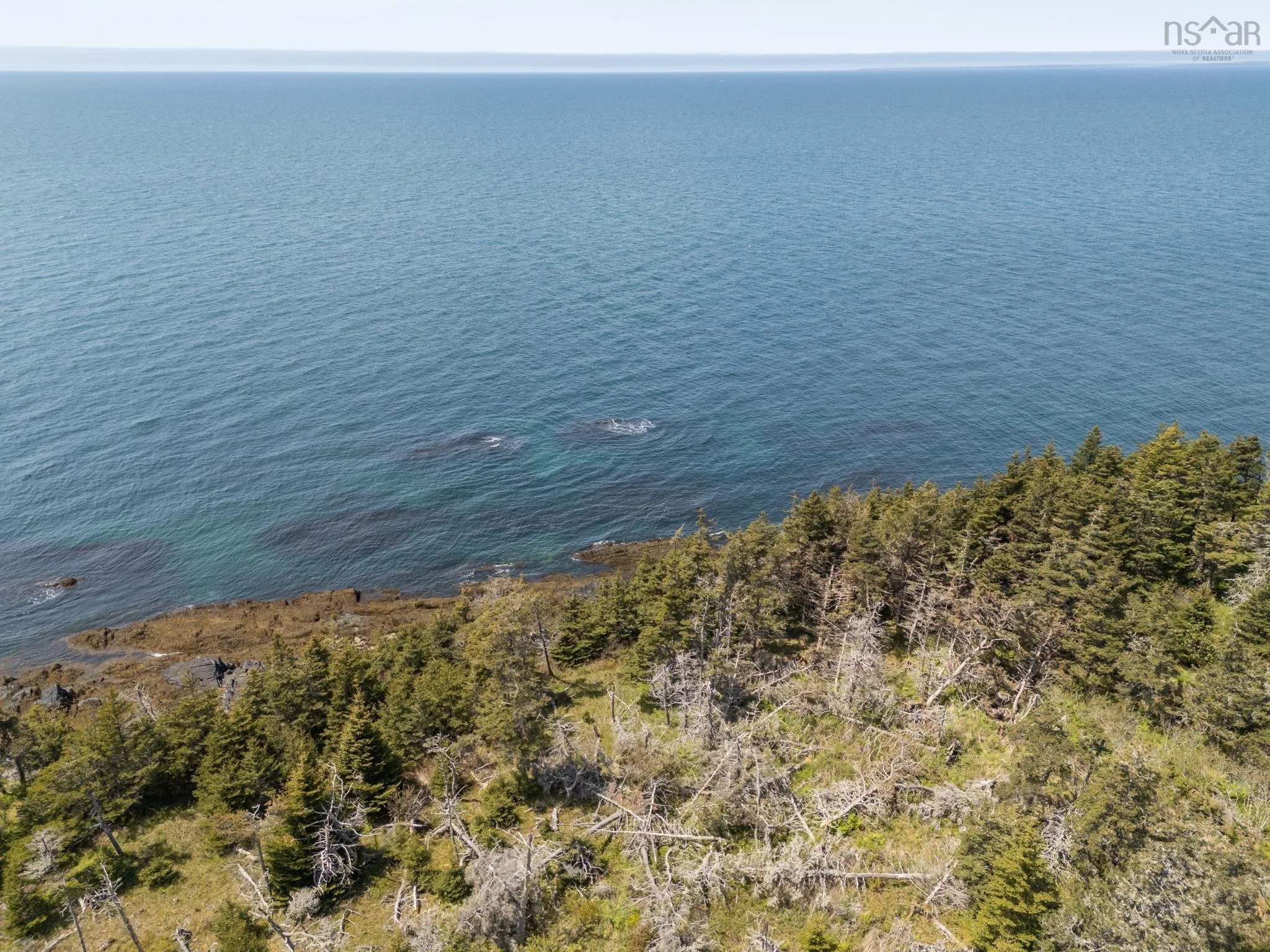 Deerfoot Trail Lot 6, St. Alphonse Ns B5a 2j0, ,Land,For Sale,Deerfoot,202411478