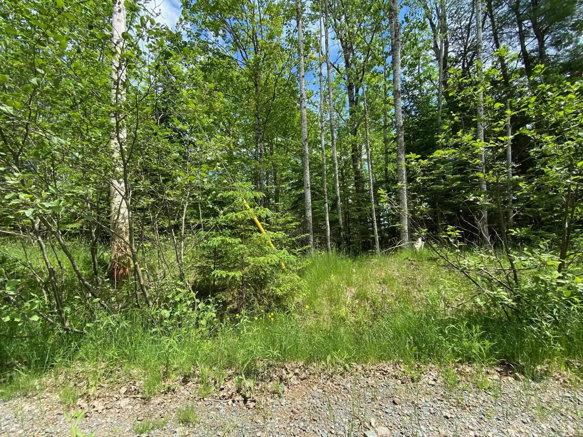 Lot 2 Butler Road, Lake Egmont NS B0N 2H0, ,Land,For Sale,Butler,202313694