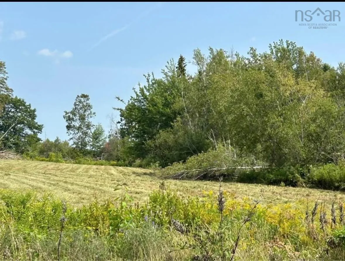 260 Sand Point Road, Barrachois Ns B0k 1v0, ,Land,For Sale,Sand Point,202507282