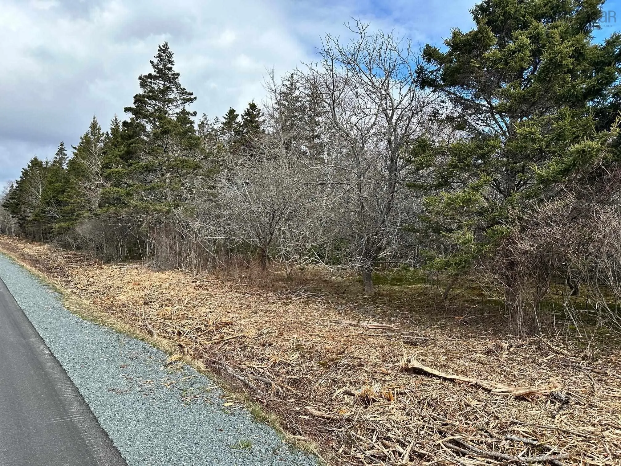 Shore Road Lot 2, Western Head, NS B0T 1K0, ,Land,For Sale,Shore,202518038