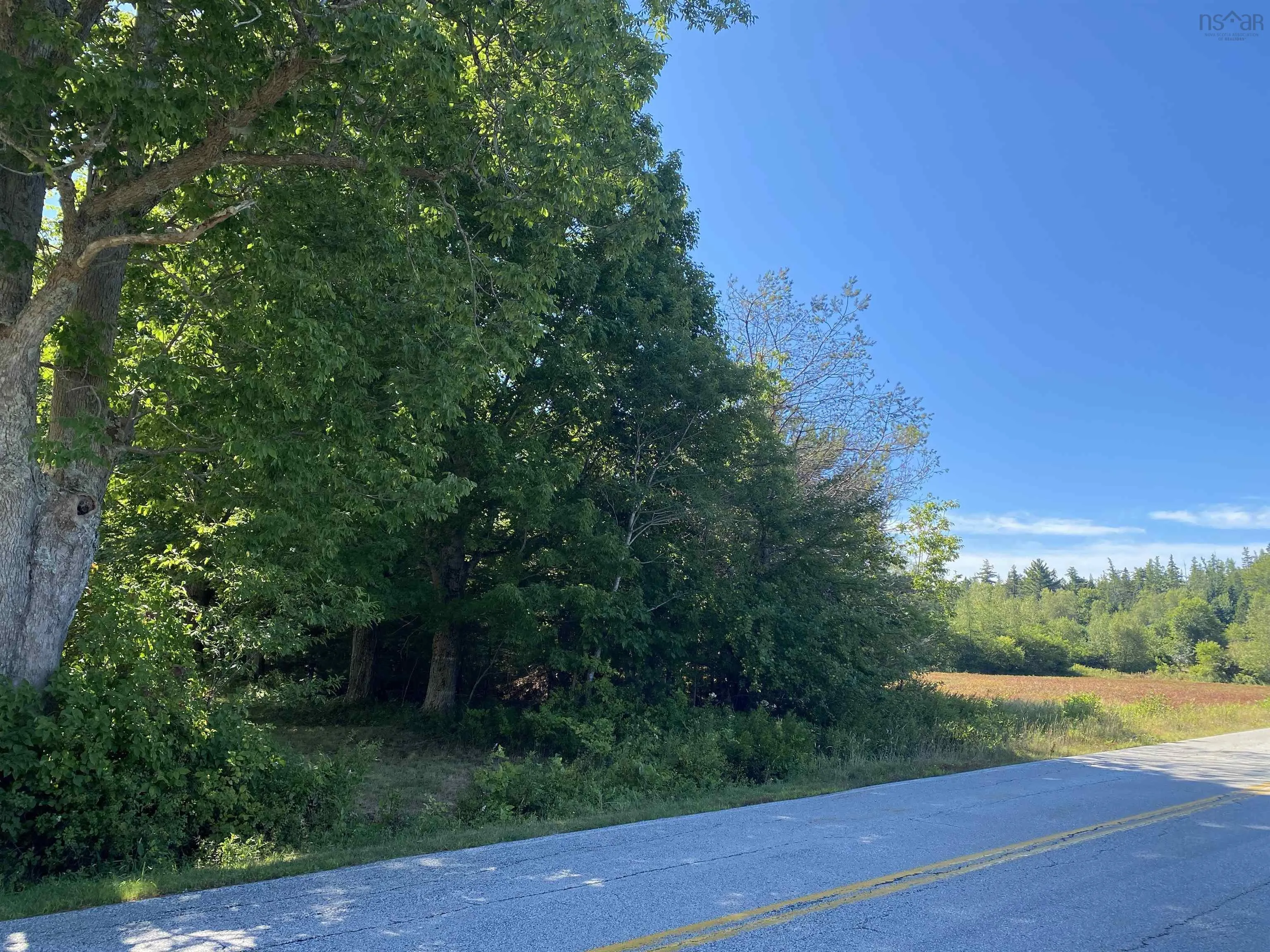 3666 Highway 203, East Kemptville, NS B5A 5P7, ,Land,For Sale,Highway 203,202521547