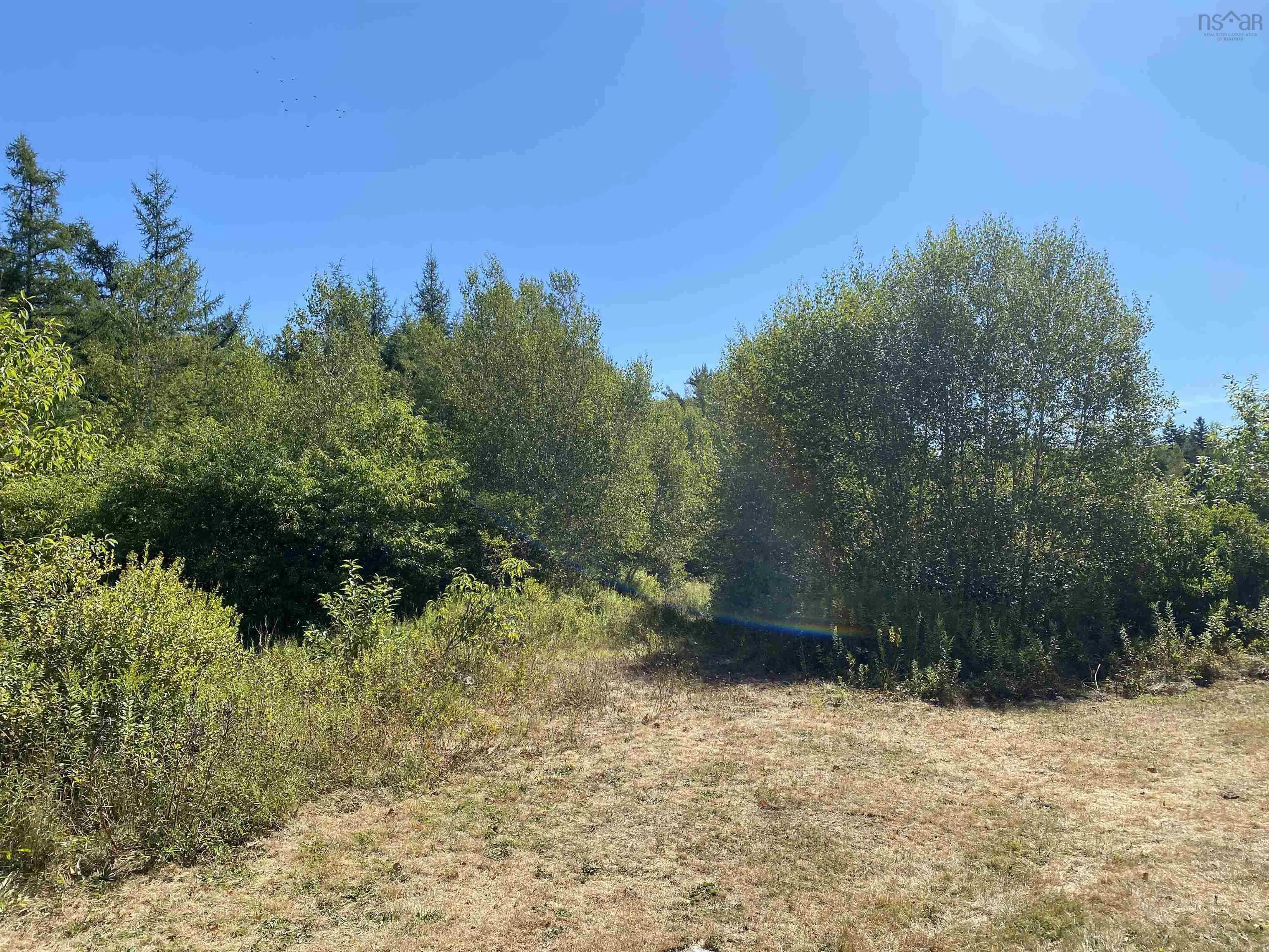 3666 Highway 203, East Kemptville, NS B5A 5P7, ,Land,For Sale,Highway 203,202521547