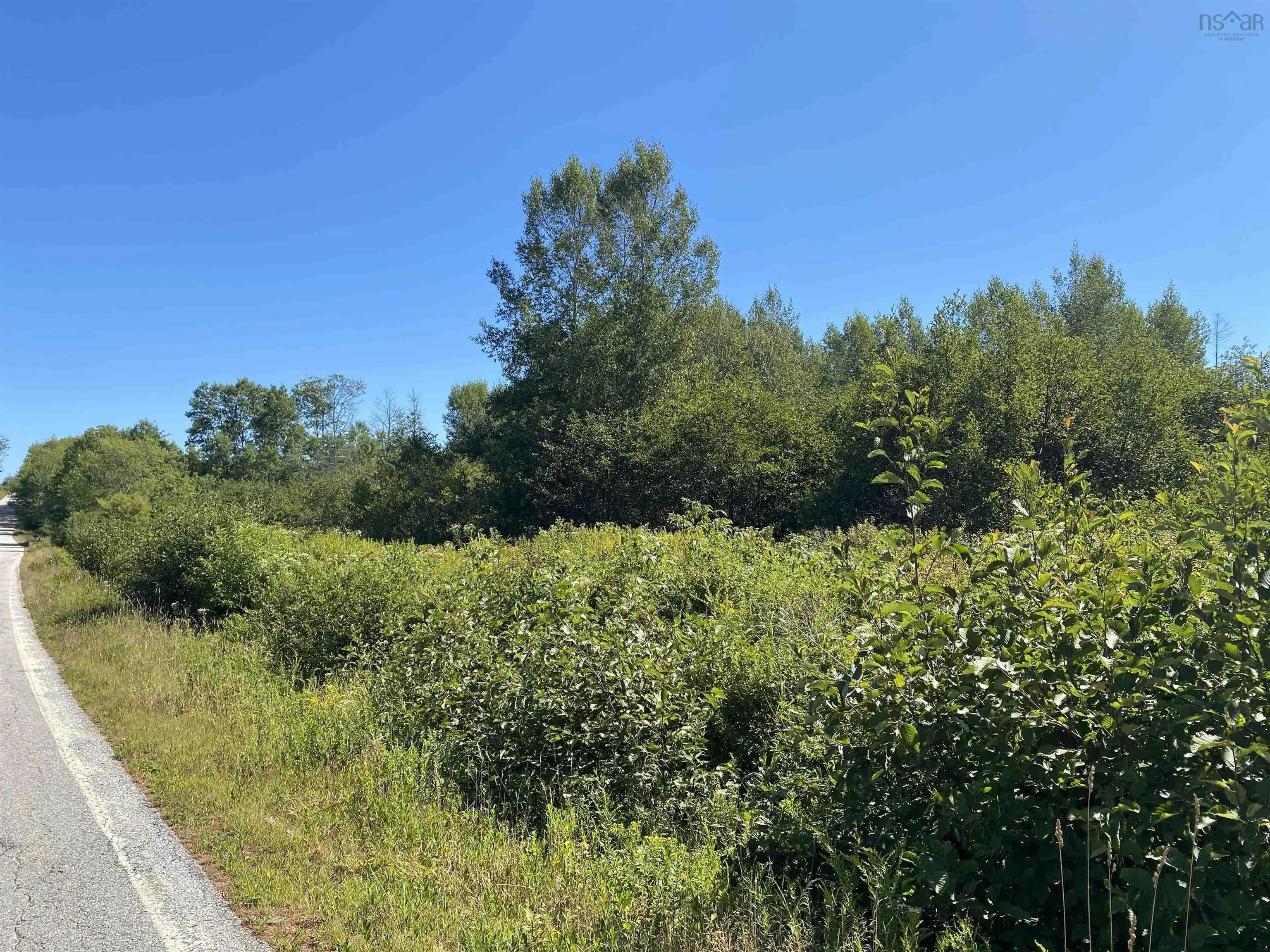 3666 Highway 203, East Kemptville, NS B5A 5P7, ,Land,For Sale,Highway 203,202521547