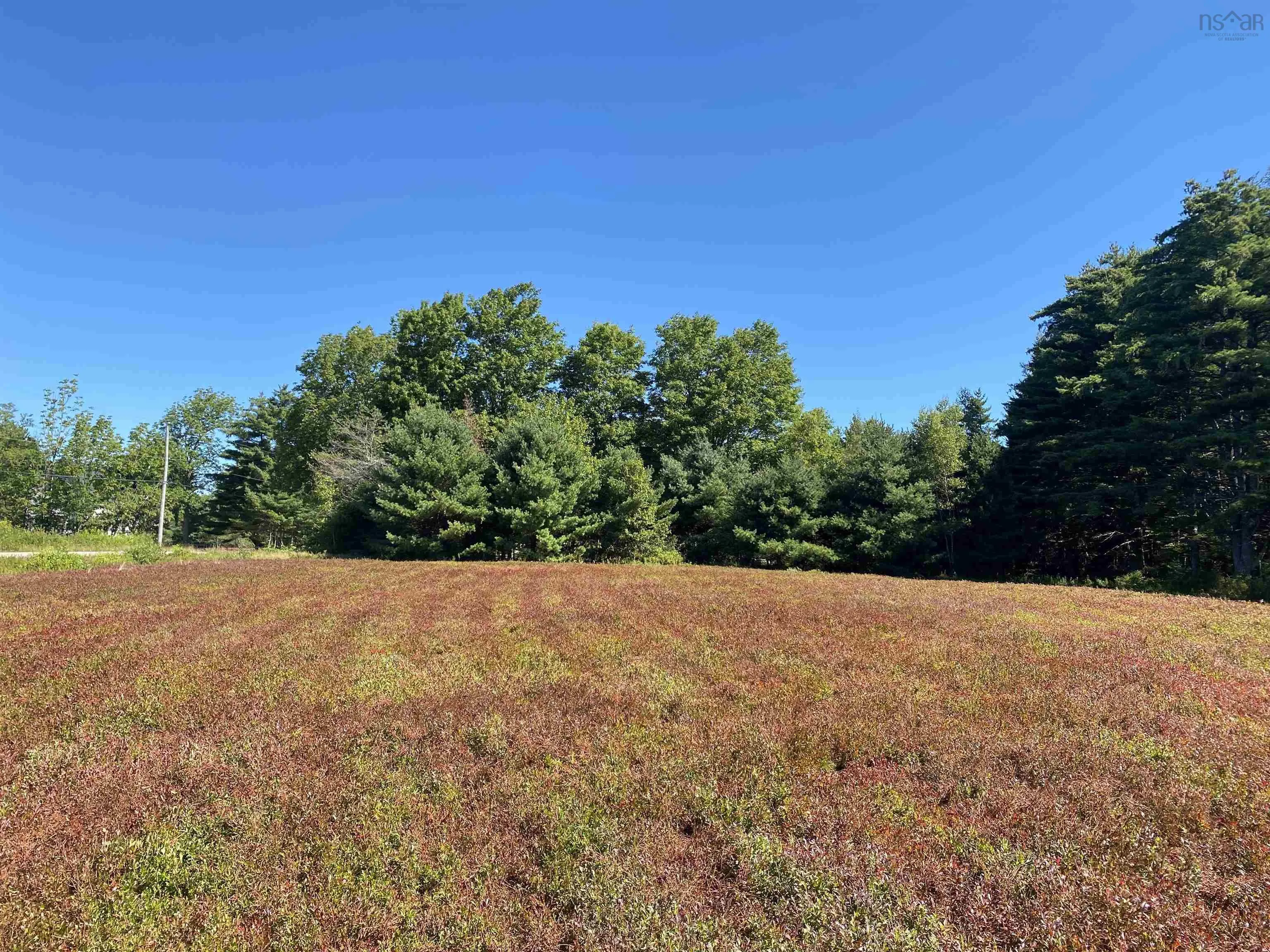 3666 Highway 203, East Kemptville, NS B5A 5P7, ,Land,For Sale,Highway 203,202521547