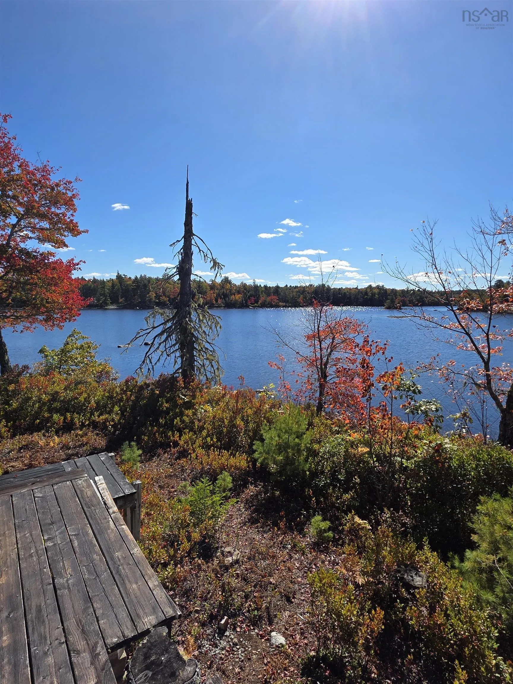441 Peter's Drive, Upper Ohio, NS B9T 1W0, 2 Bedrooms Bedrooms, ,1 BathroomBathrooms,Residential,For Sale,Peter's,202524931