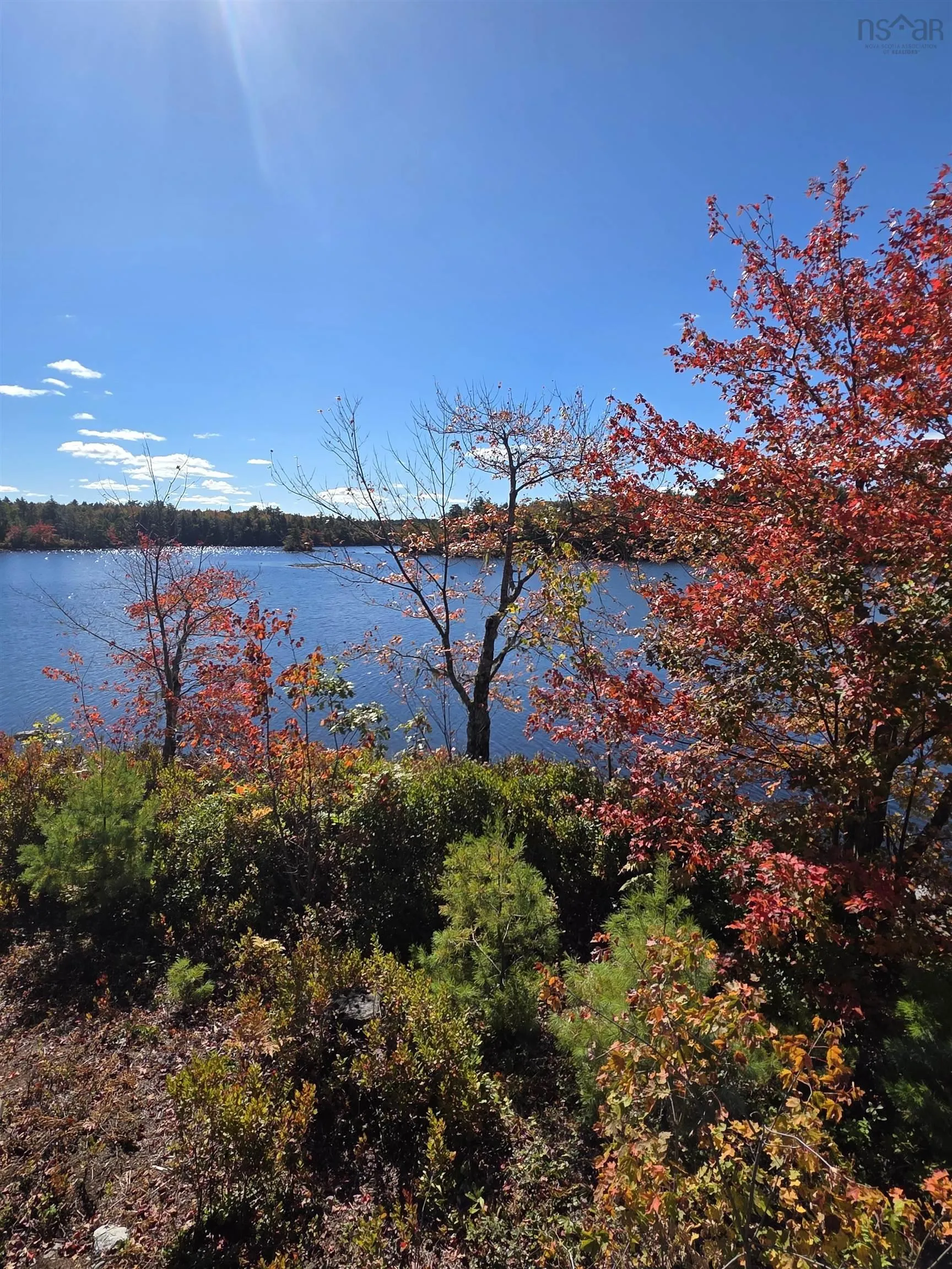 441 Peter's Drive, Upper Ohio, NS B9T 1W0, 2 Bedrooms Bedrooms, ,1 BathroomBathrooms,Residential,For Sale,Peter's,202524931