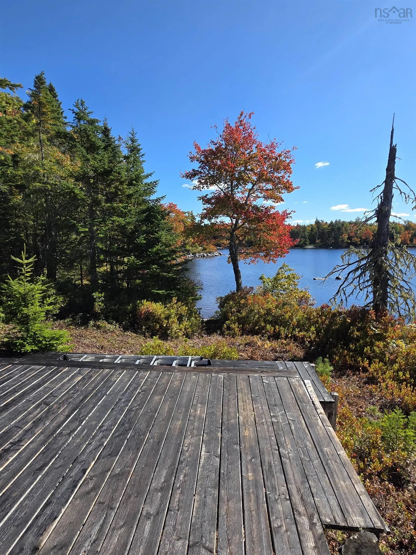 441 Peter's Drive, Upper Ohio, NS B9T 1W0, 2 Bedrooms Bedrooms, ,1 BathroomBathrooms,Residential,For Sale,Peter's,202524931