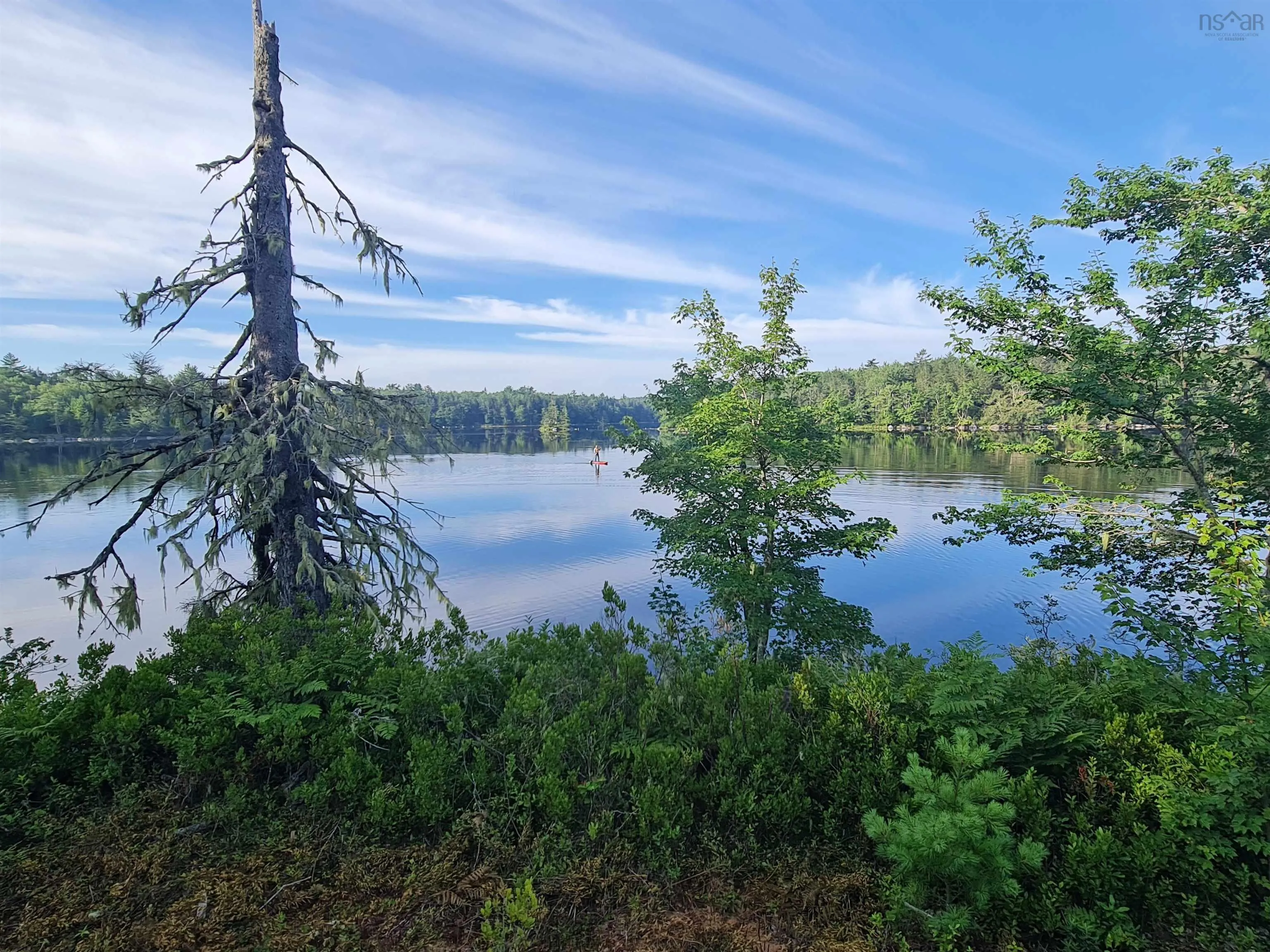 441 Peter's Drive, Upper Ohio, NS B9T 1W0, 2 Bedrooms Bedrooms, ,1 BathroomBathrooms,Residential,For Sale,Peter's,202524931