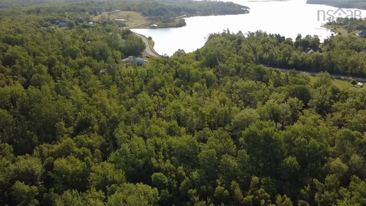 213 Macdonald Drive, Chance Harbour, NS B0K 1X0, ,Land,For Sale,Macdonald,202520819