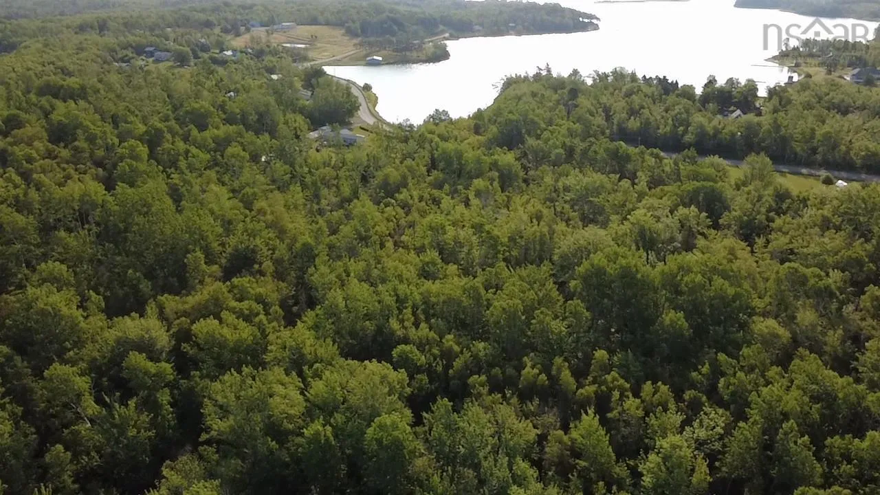 213 Macdonald Drive, Chance Harbour, NS B0K 1X0, ,Land,For Sale,Macdonald,202520819