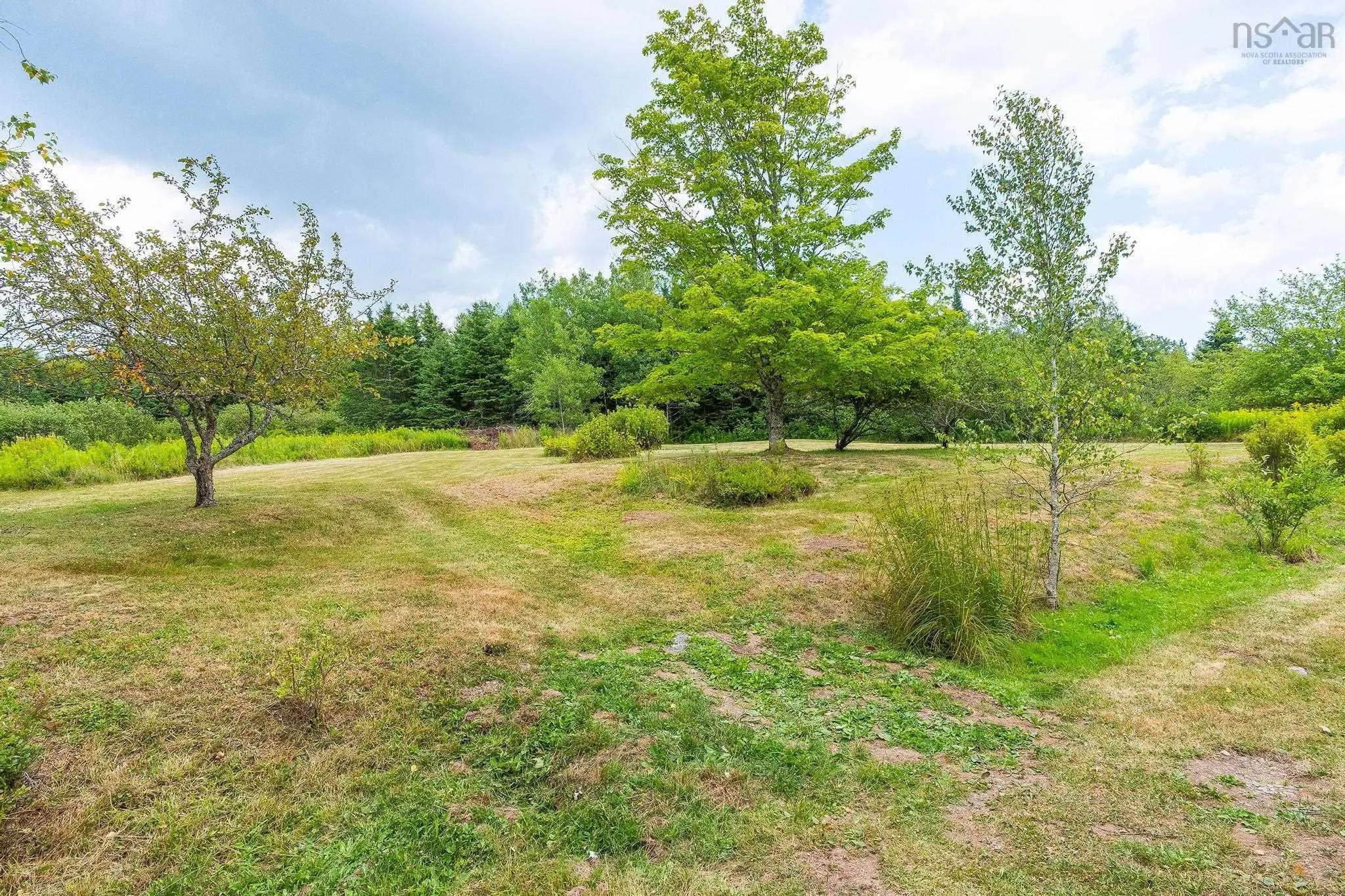 1207 Truro Road, Hilden, NS B0N 1C0, 3 Bedrooms Bedrooms, ,1 BathroomBathrooms,Residential,For Sale,Truro,202519185