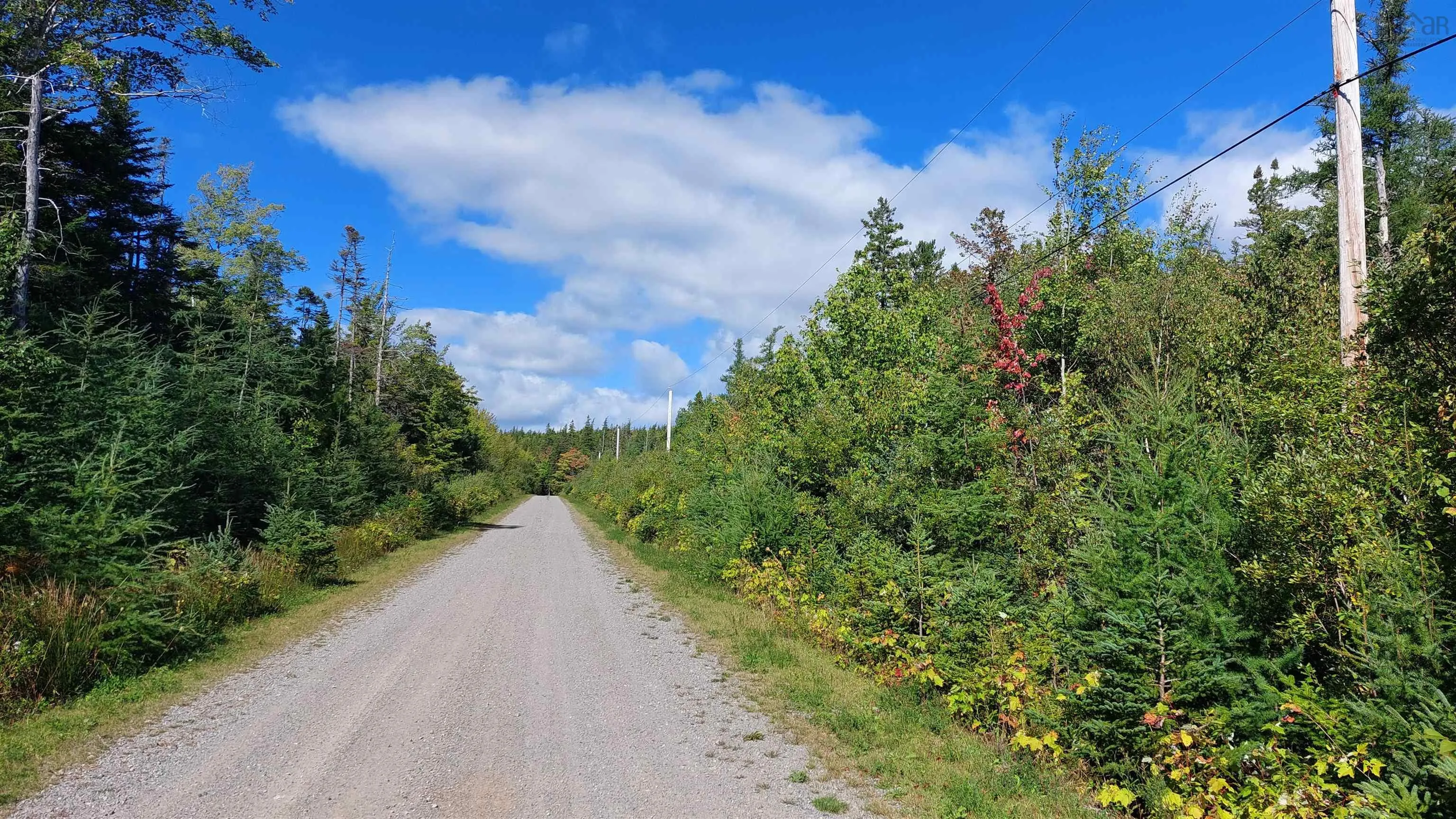 Lot 5 Tranquil Shore Rd, Marshes (west Bay), NS B0E 1V0, ,Land,For Sale,Tranquil Shore Rd,202518509