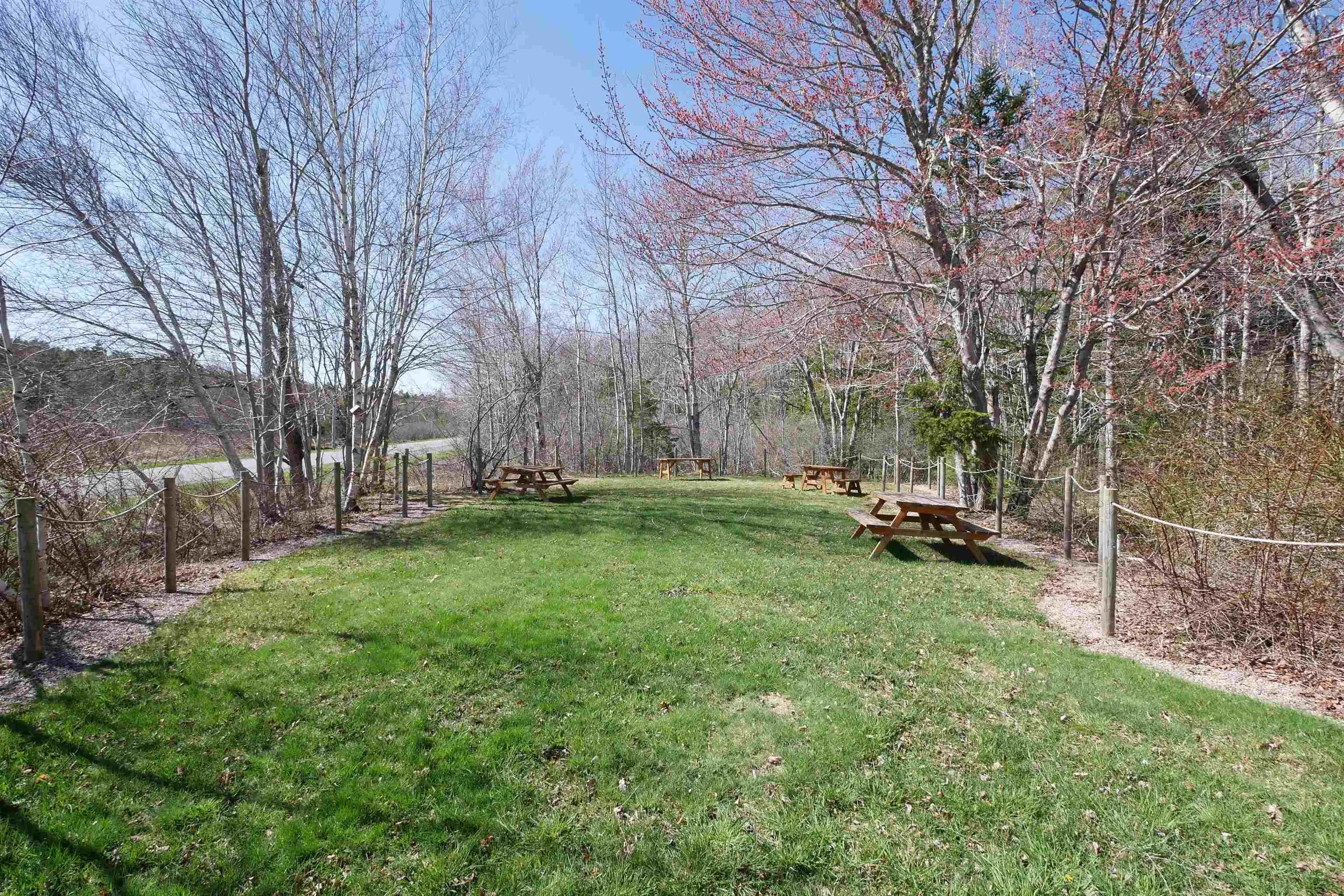 10117 Highway 3, Martins Brook Ns B0j 2c0, ,Commercial Sale,For Sale,Highway 3,202509342