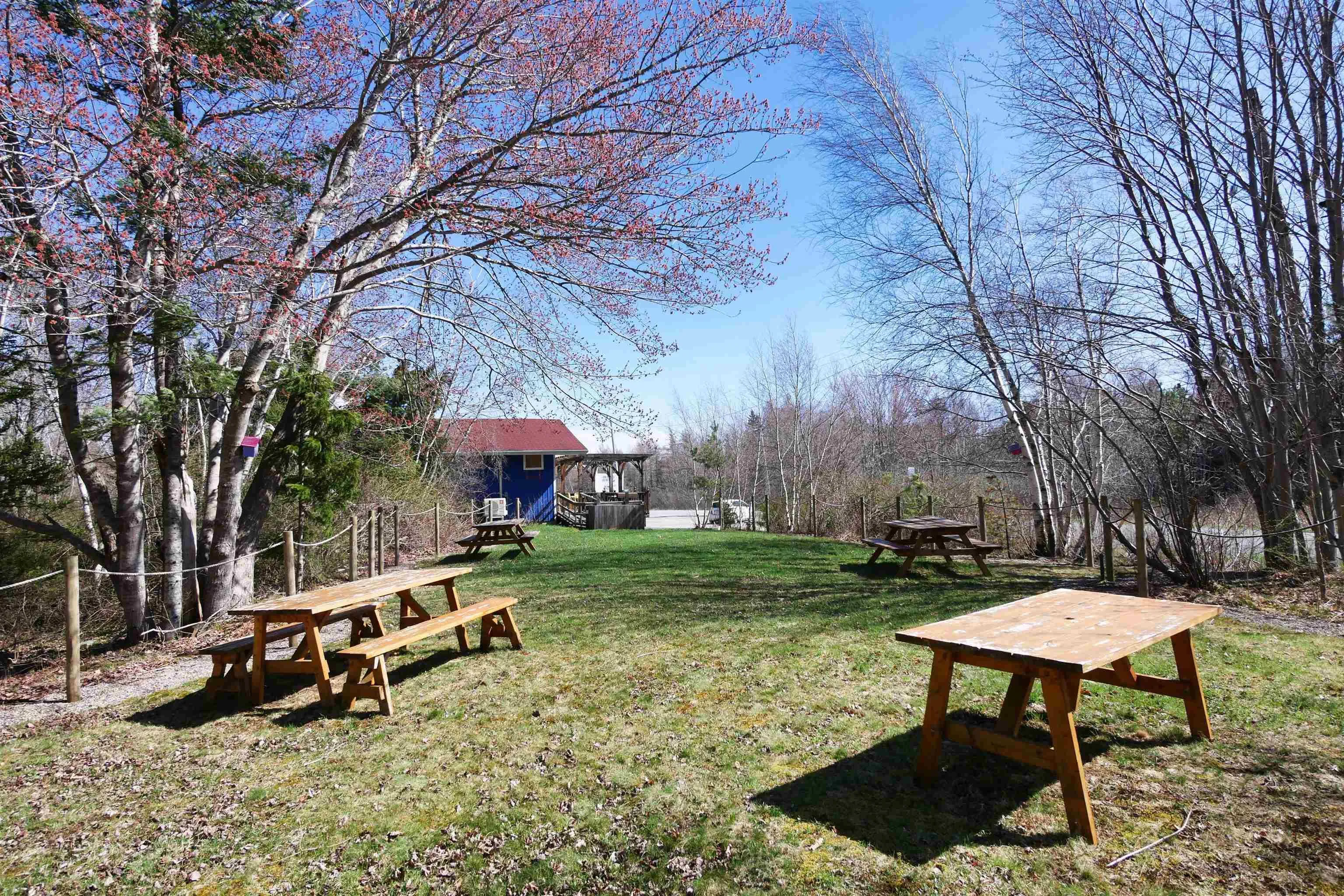 10117 Highway 3, Martins Brook Ns B0j 2c0, ,Commercial Sale,For Sale,Highway 3,202509342