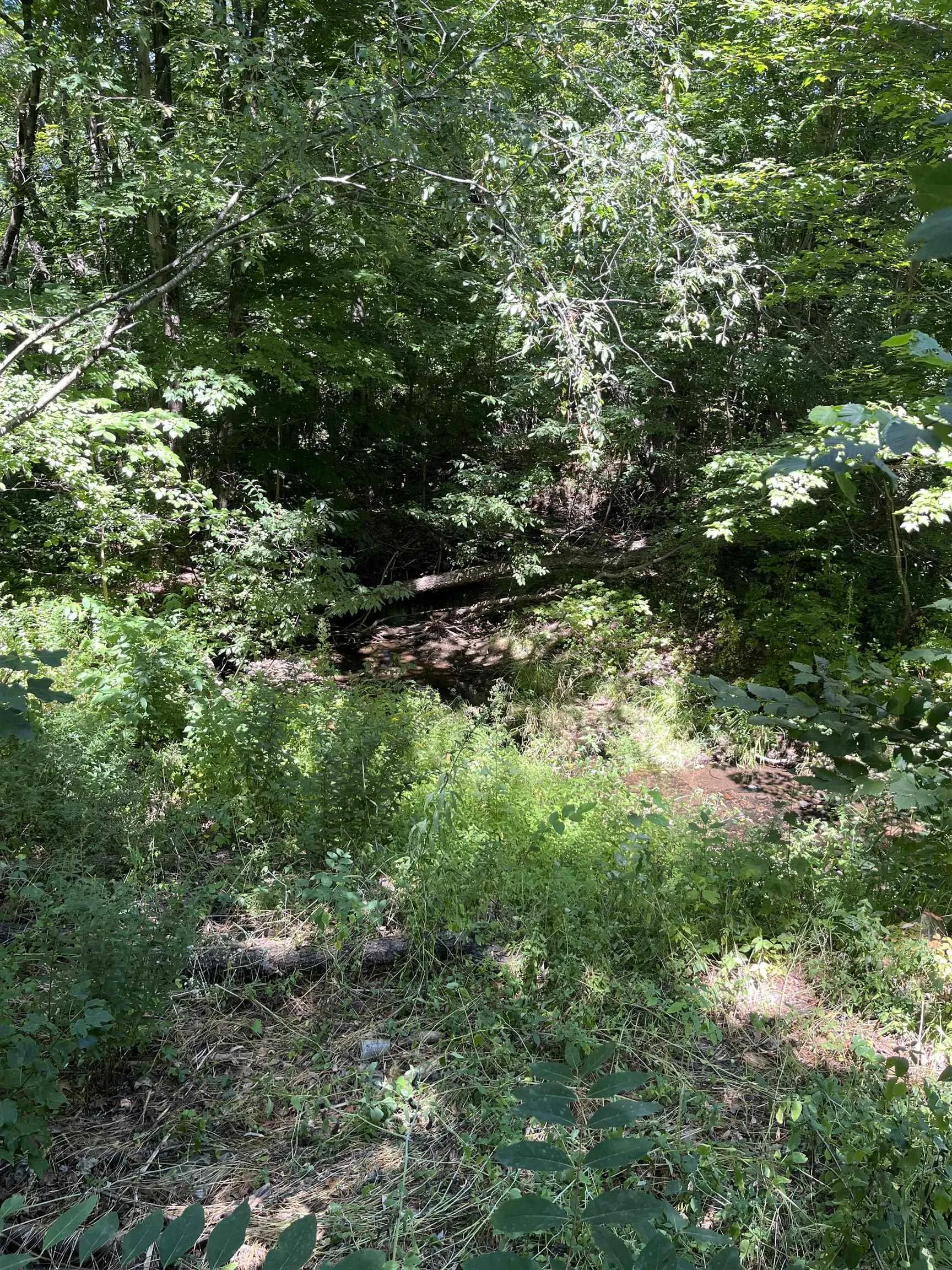 Ward Road Lot C, South Greenwood, NS B0P 1N0, ,Land,For Sale,Ward,202520761