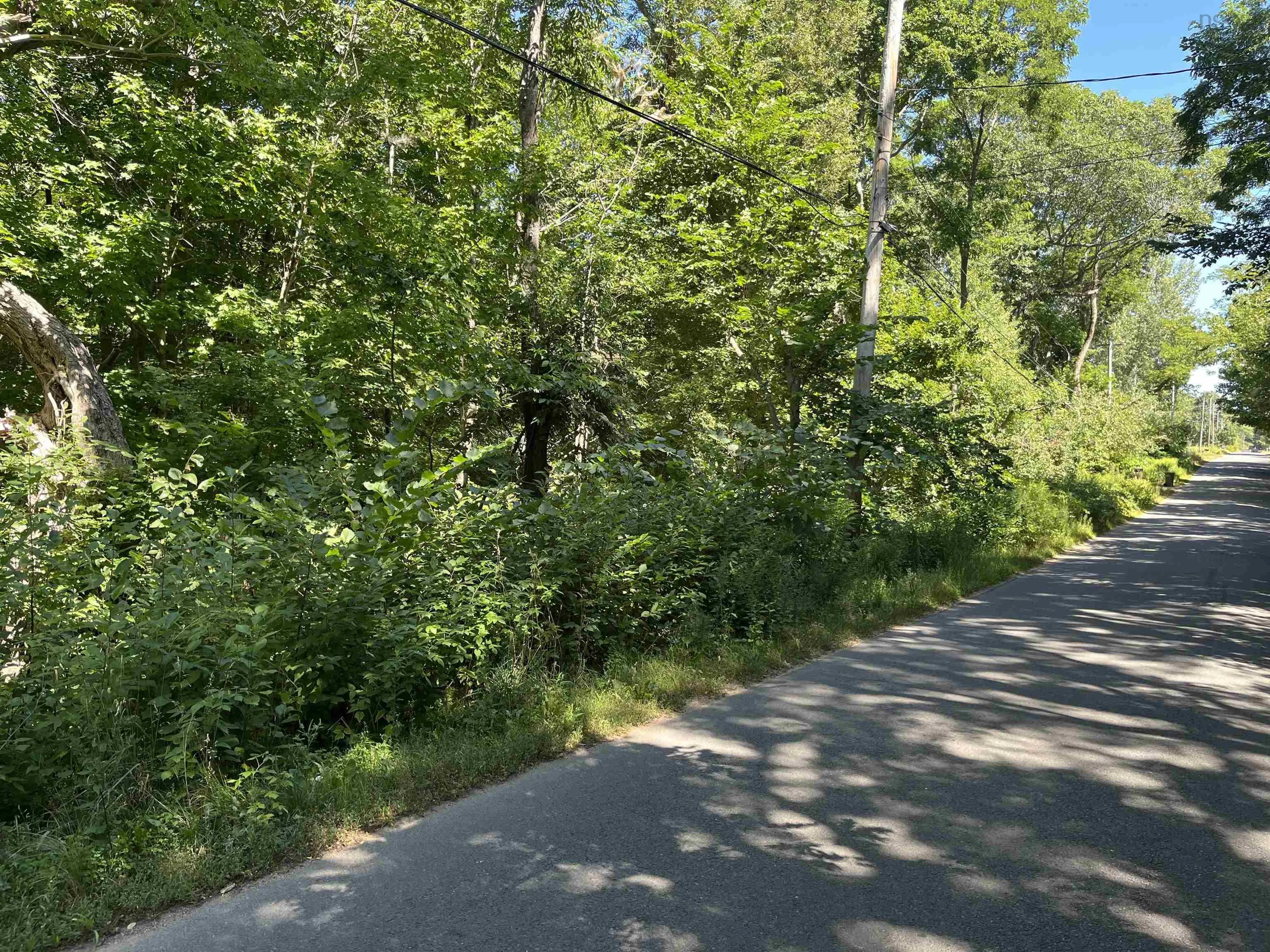 Ward Road Lot C, South Greenwood, NS B0P 1N0, ,Land,For Sale,Ward,202520761
