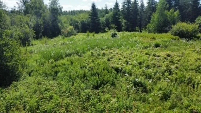 Hwy#6 Highway, Port Philip, NS B0K 1L0, ,Land,For Sale,#6,202517533