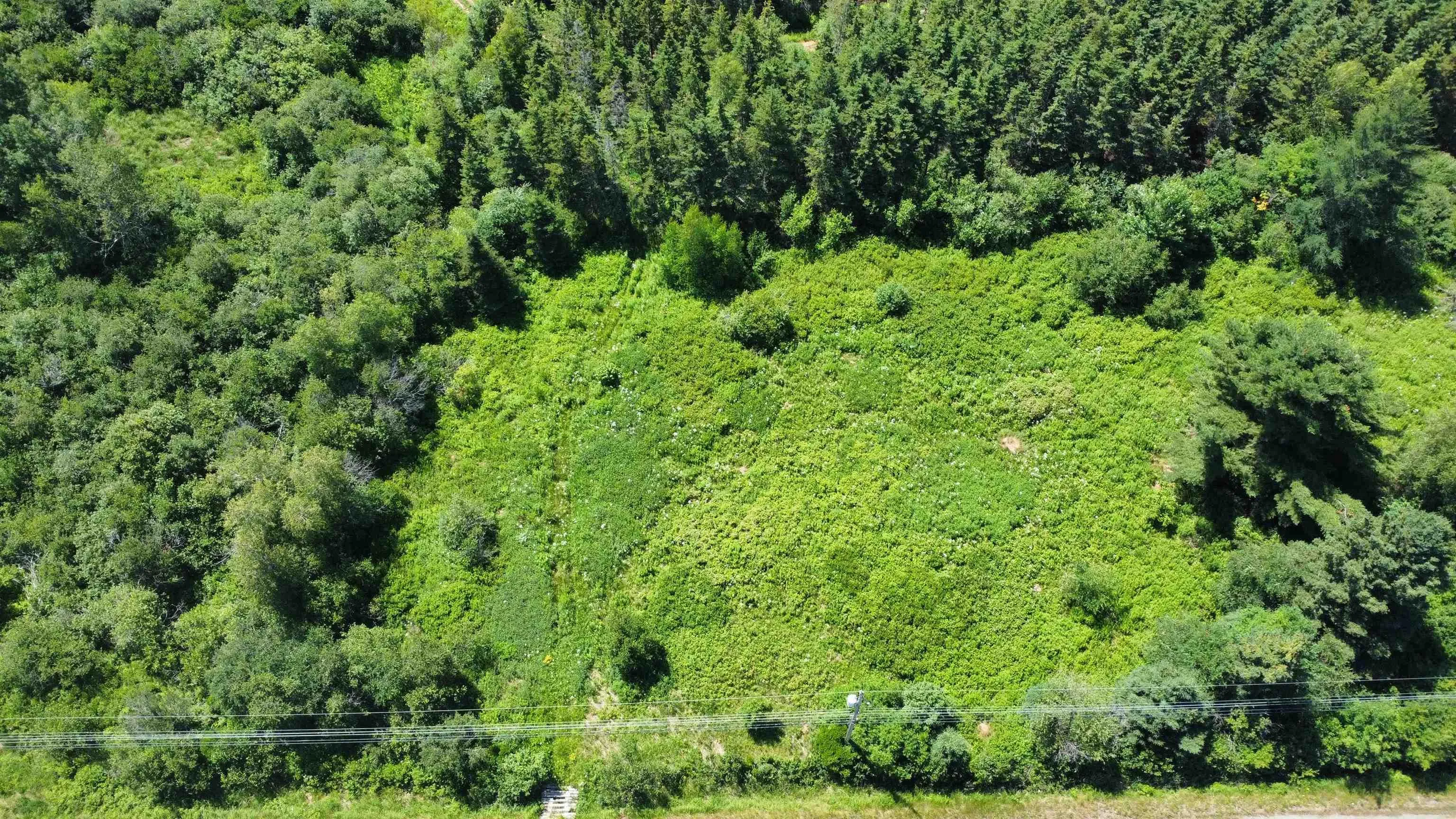 Hwy#6 Highway, Port Philip, NS B0K 1L0, ,Land,For Sale,#6,202517533
