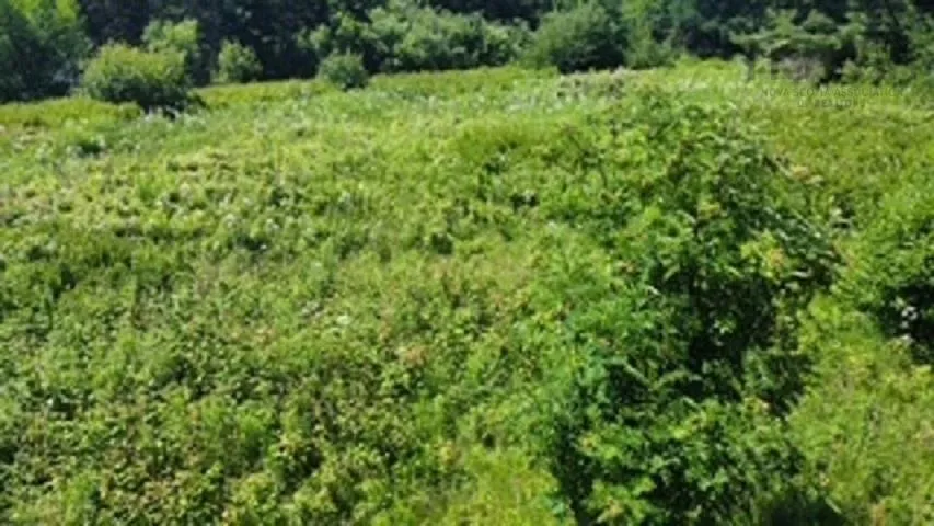 Hwy#6 Highway, Port Philip, NS B0K 1L0, ,Land,For Sale,#6,202517533