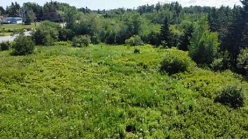 Hwy#6 Highway, Port Philip, NS B0K 1L0, ,Land,For Sale,#6,202517533
