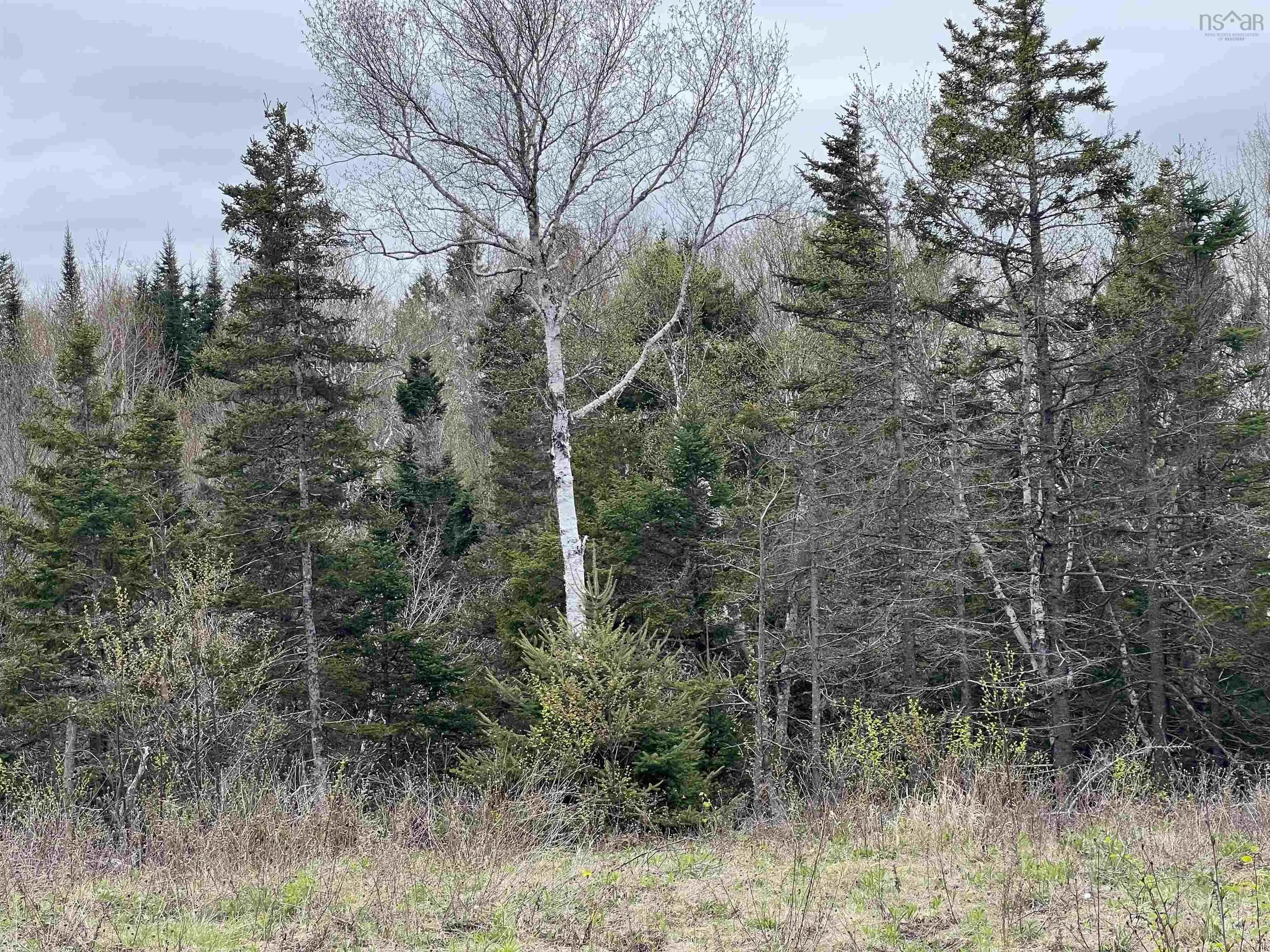 Long Beach Road, West Glenmont Ns B0p 1h0, ,Land,For Sale,Long Beach,202510516