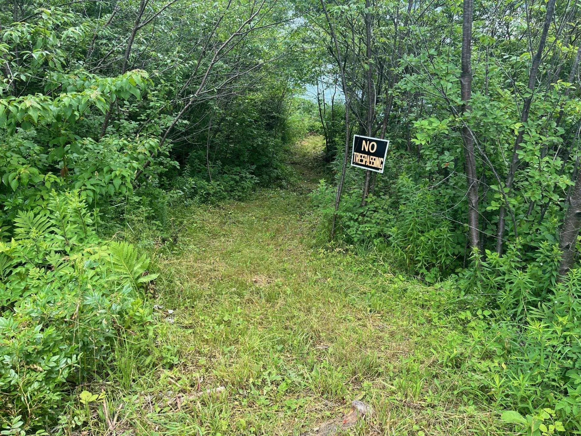 105-10843 Highway 105, Aberdeen, NS B0E 3M0, ,Land,For Sale,Highway 105,202516730