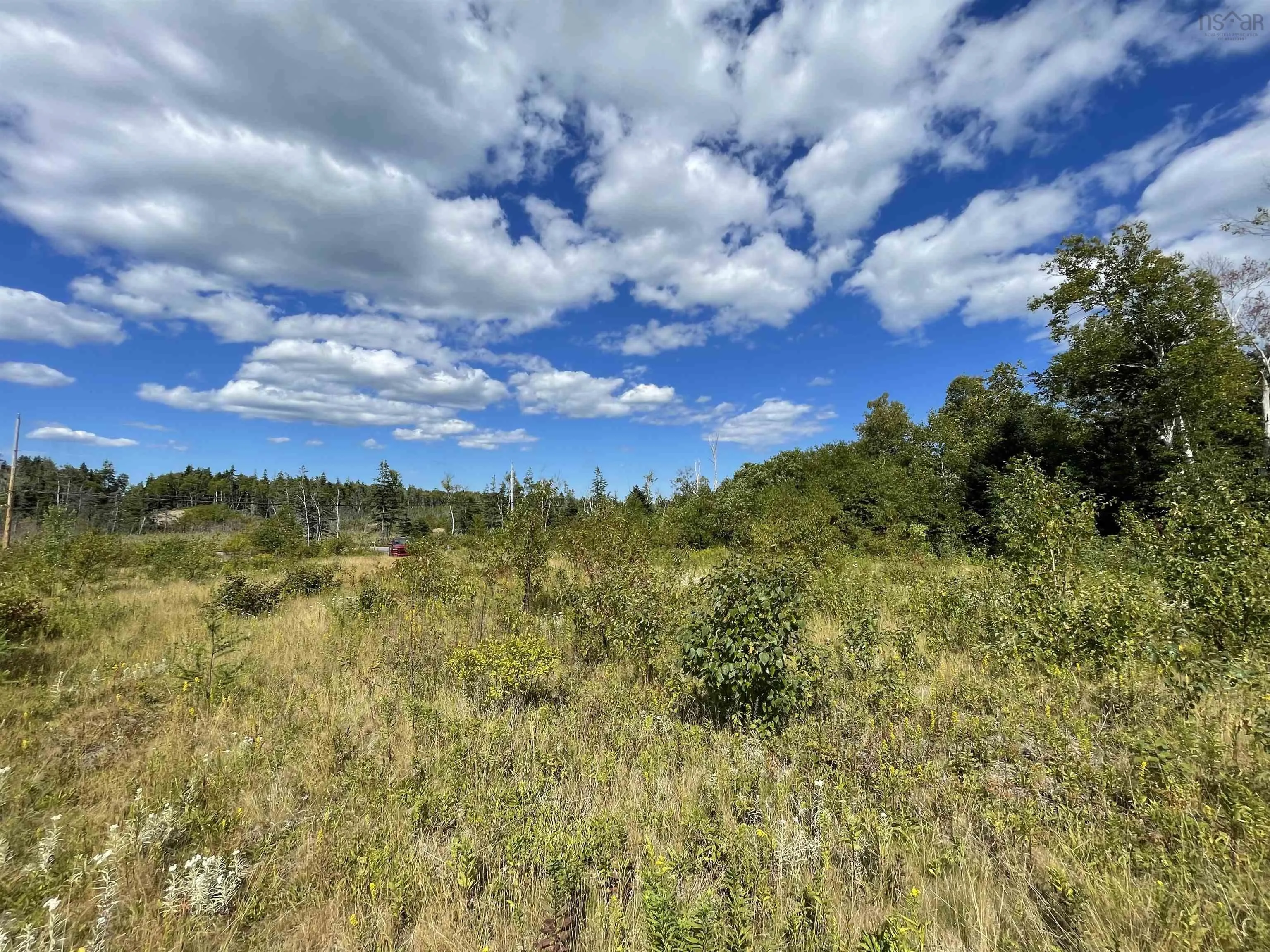 Lot 0 Brickyard Road, Albert Bridge, NS B1K 2R4, ,Land,For Sale,Brickyard,202521439
