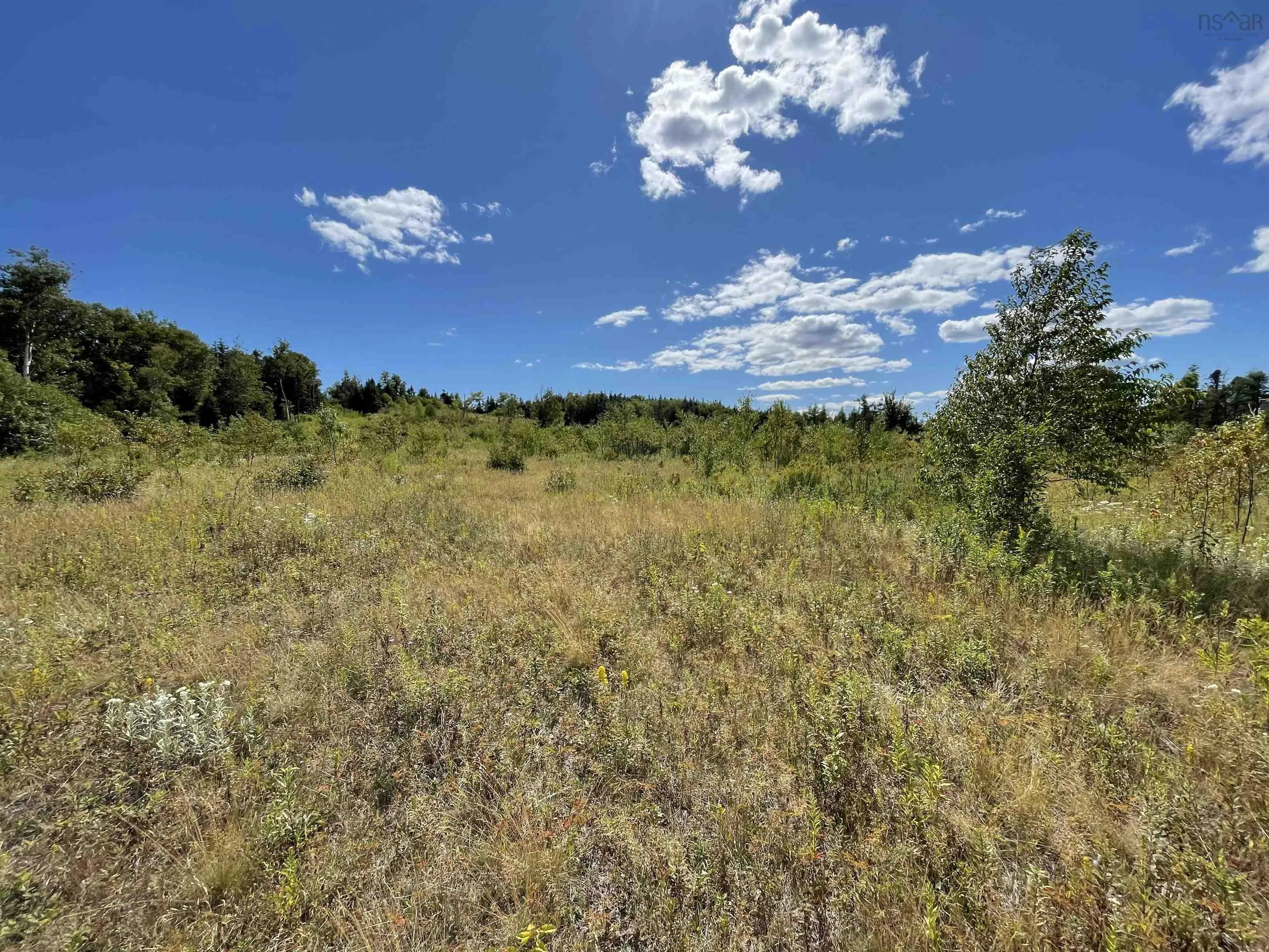 Lot 0 Brickyard Road, Albert Bridge, NS B1K 2R4, ,Land,For Sale,Brickyard,202521439