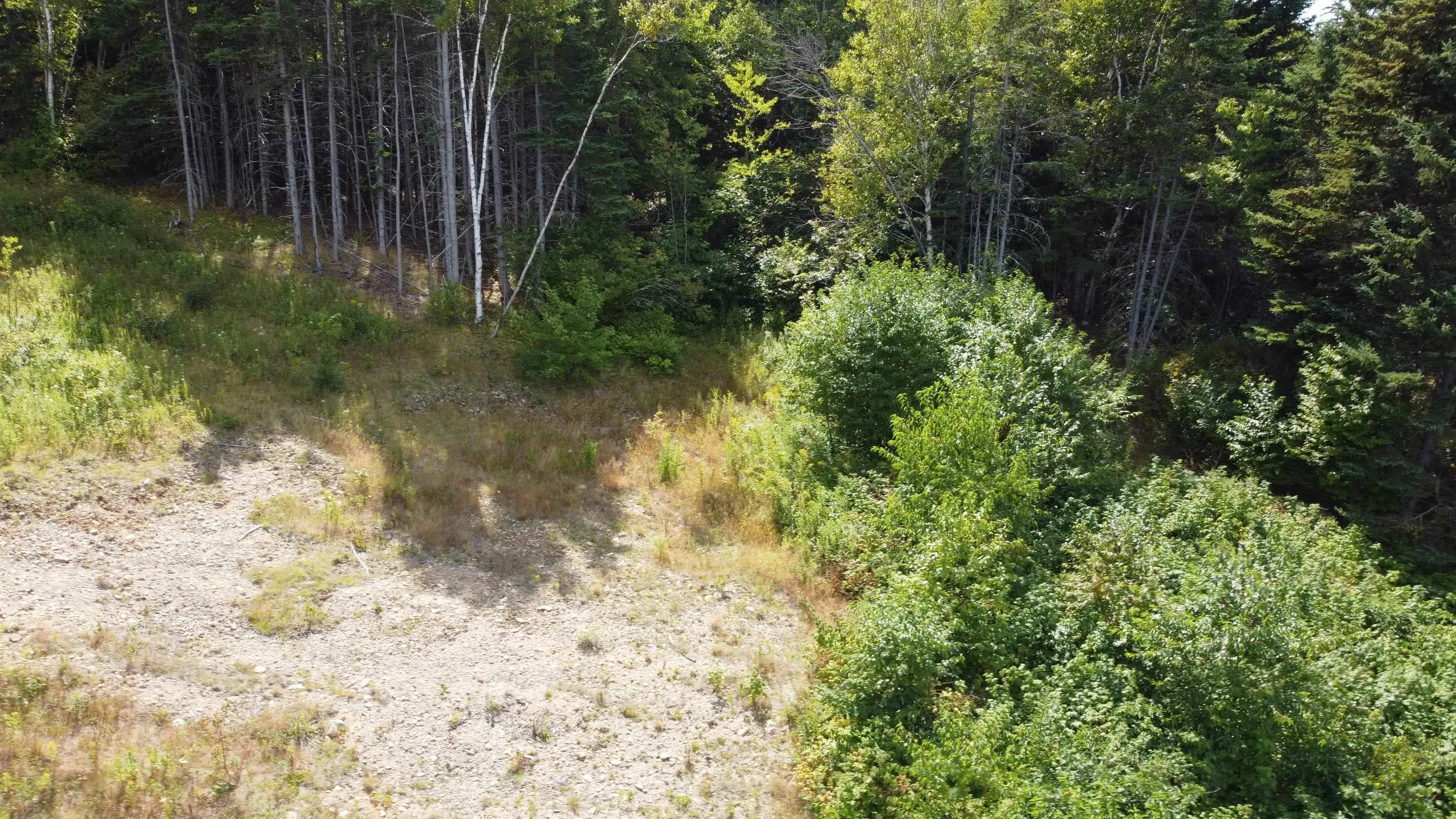Lot 0 Brickyard Road, Albert Bridge, NS B1K 2R4, ,Land,For Sale,Brickyard,202521439