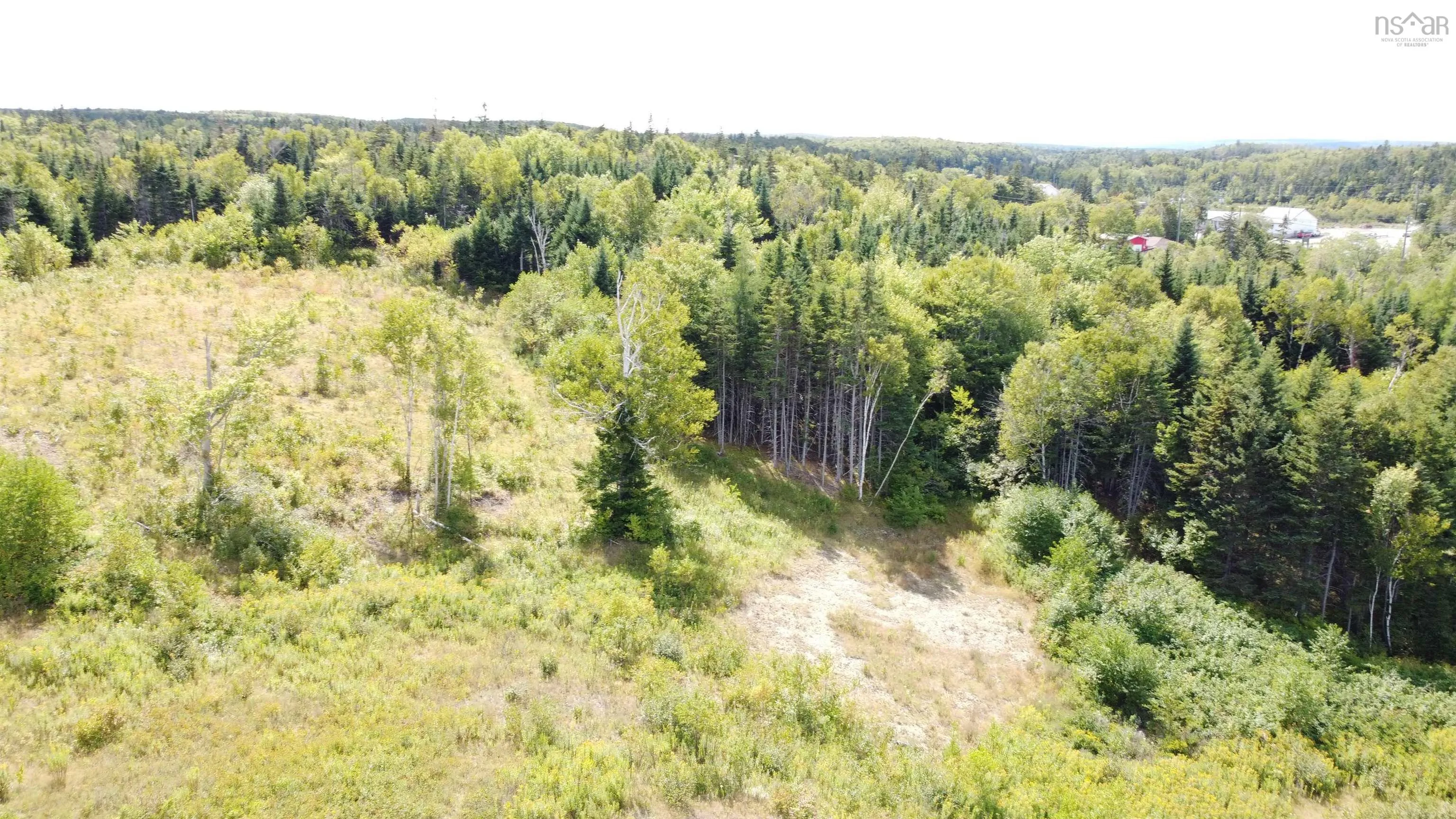 Lot 0 Brickyard Road, Albert Bridge, NS B1K 2R4, ,Land,For Sale,Brickyard,202521439