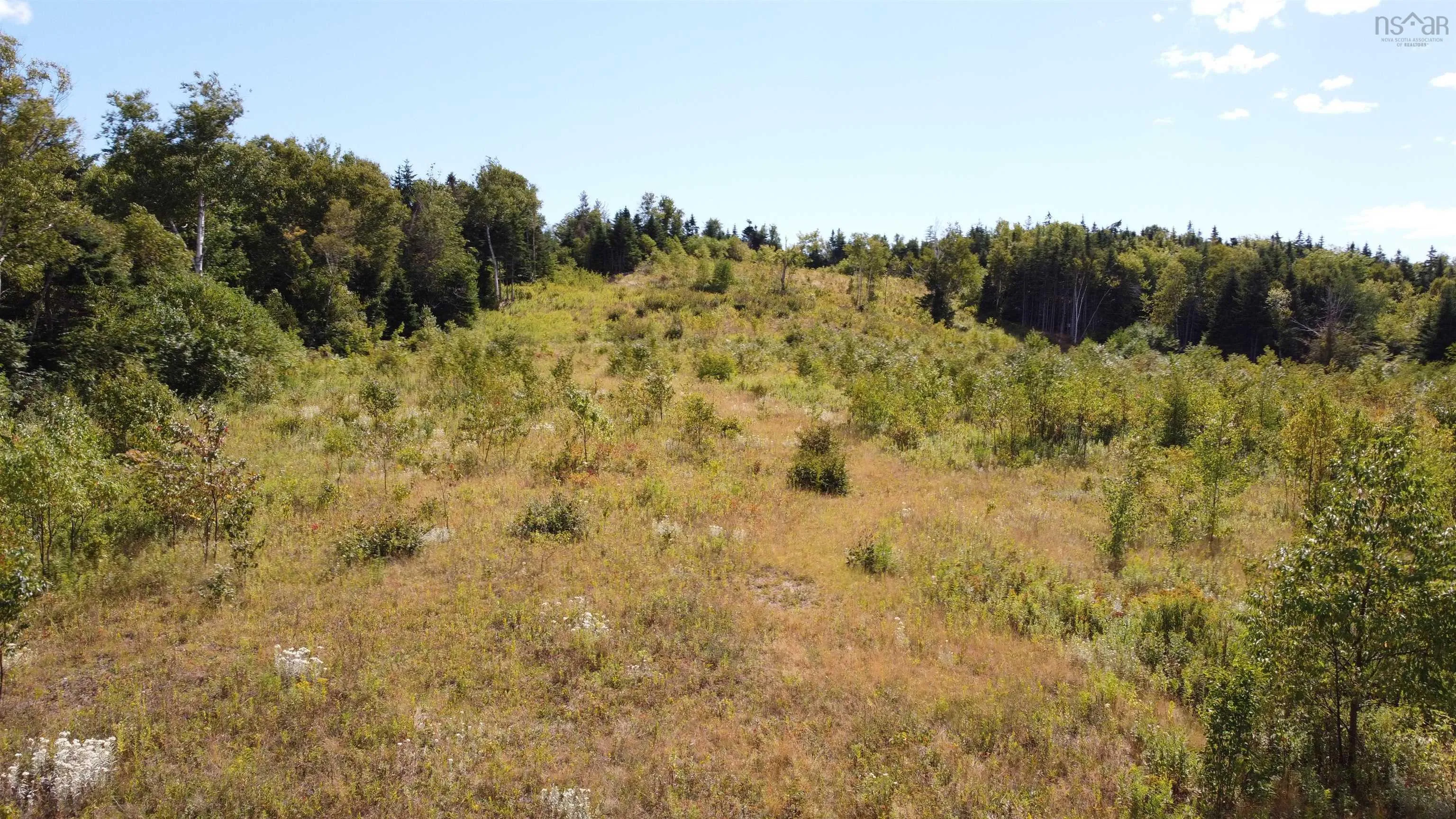 Lot 0 Brickyard Road, Albert Bridge, NS B1K 2R4, ,Land,For Sale,Brickyard,202521439