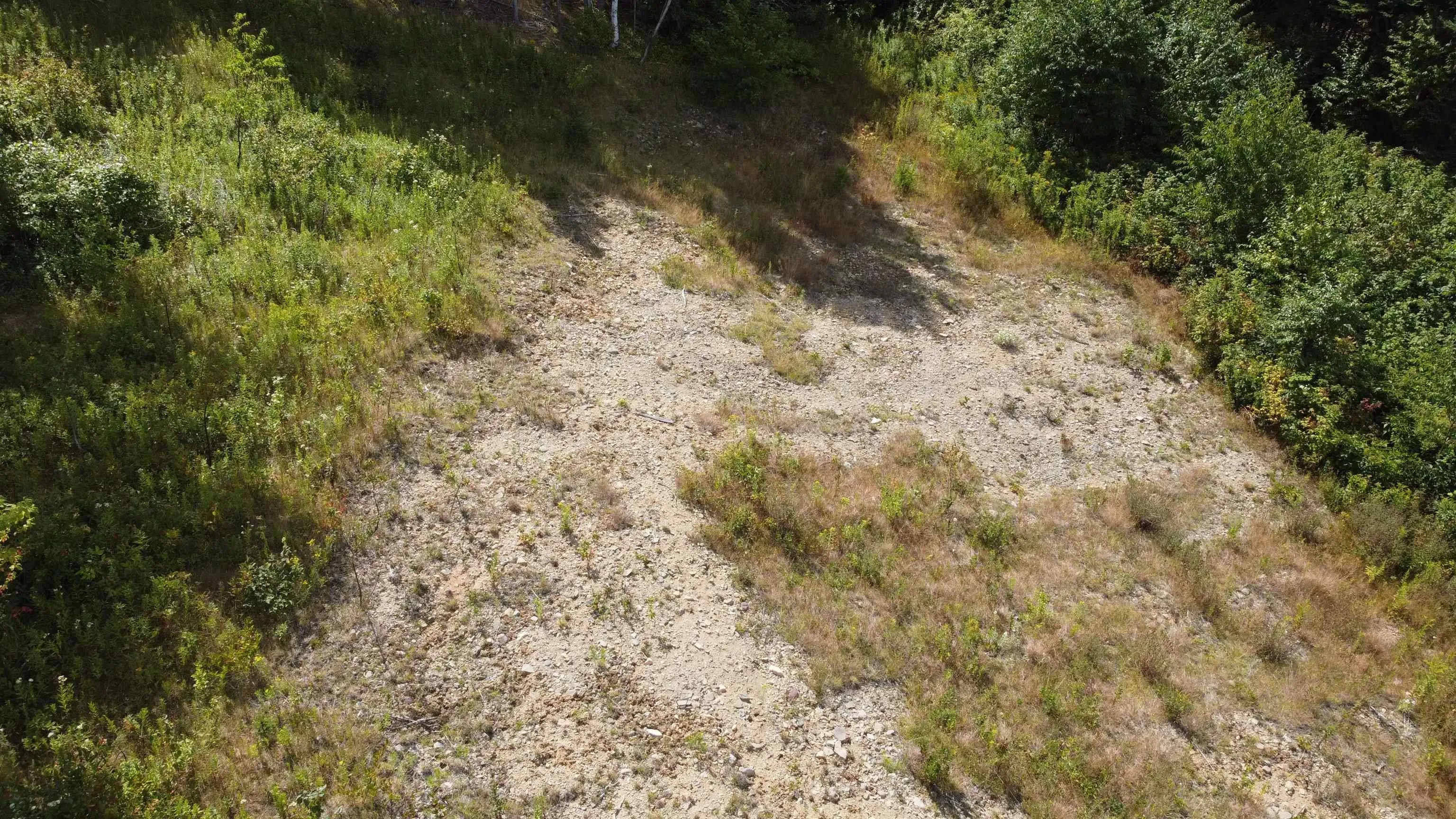 Lot 0 Brickyard Road, Albert Bridge, NS B1K 2R4, ,Land,For Sale,Brickyard,202521439