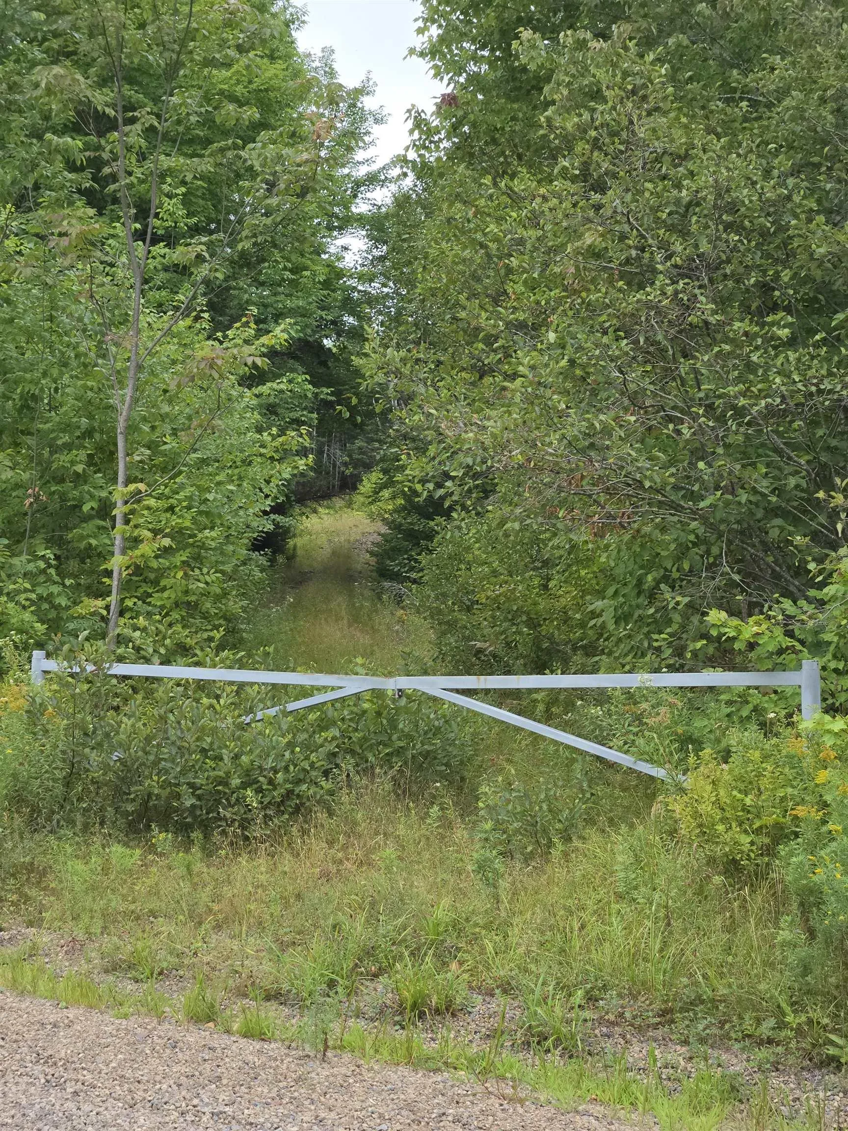 Lot 6 Lochiel Lake Road (west Side), South Lochaber, NS B2G 2L3, ,Land,For Sale,Lochiel Lake Road (West Side),202521813
