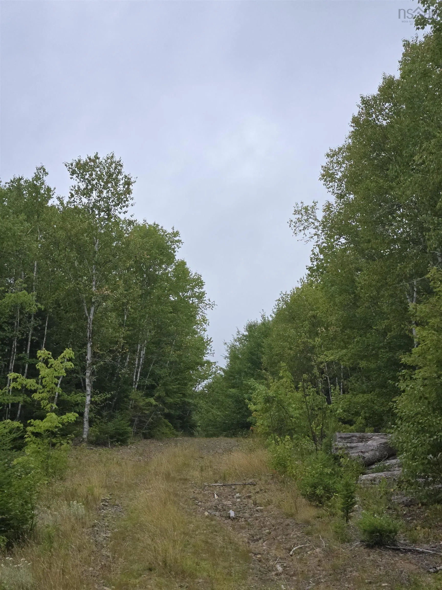 Lot 6 Lochiel Lake Road (west Side), South Lochaber, NS B2G 2L3, ,Land,For Sale,Lochiel Lake Road (West Side),202521813