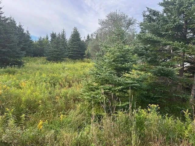 Mackenzie Point Road, Red Islands, NS B0E 3B0, ,Land,For Sale,Mackenzie Point,202521860