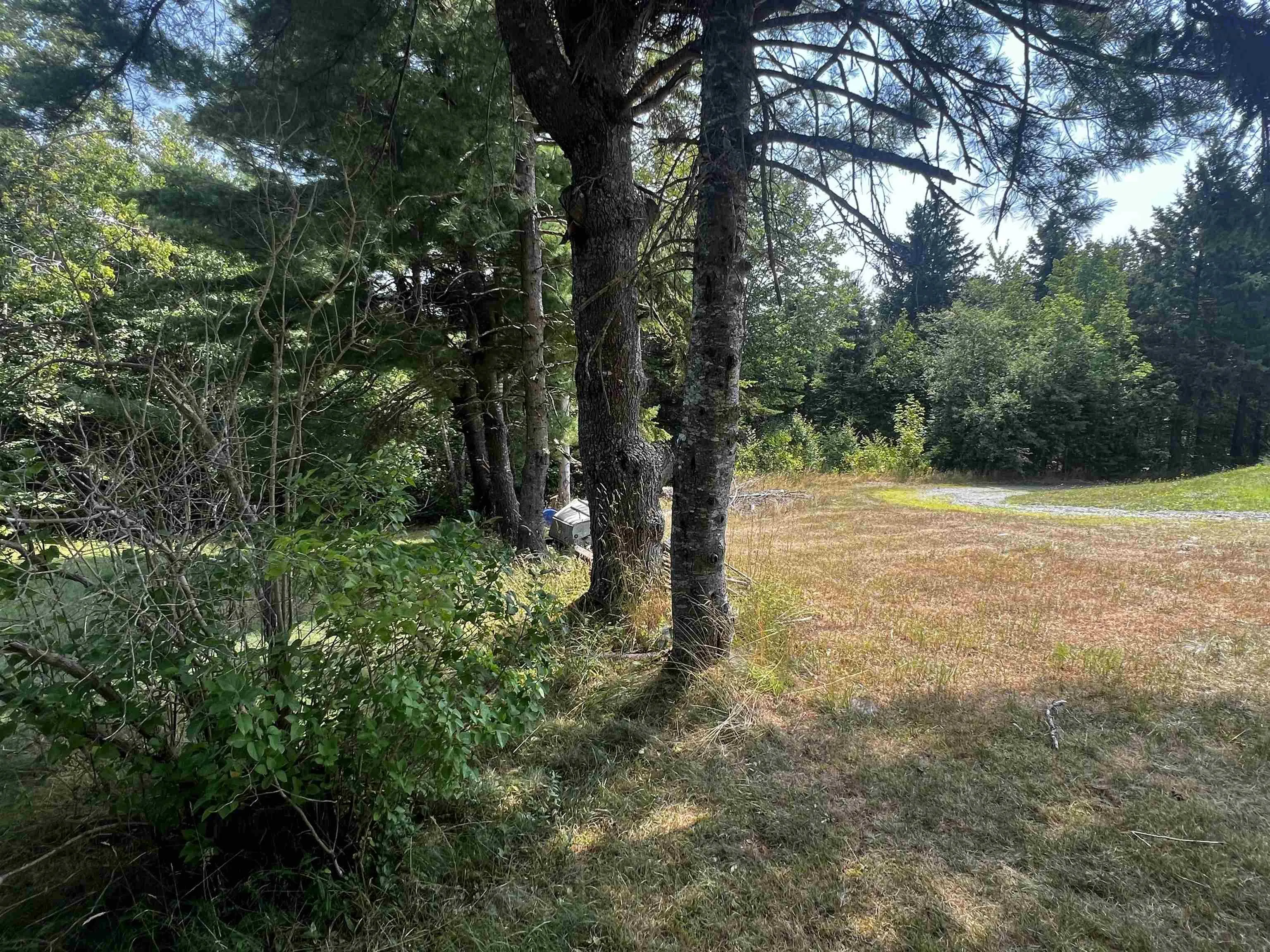 35 Shine Drive, West Lochaber, NS B2G 2L3, 2 Bedrooms Bedrooms, ,1 BathroomBathrooms,Residential,For Sale,Shine,202520765