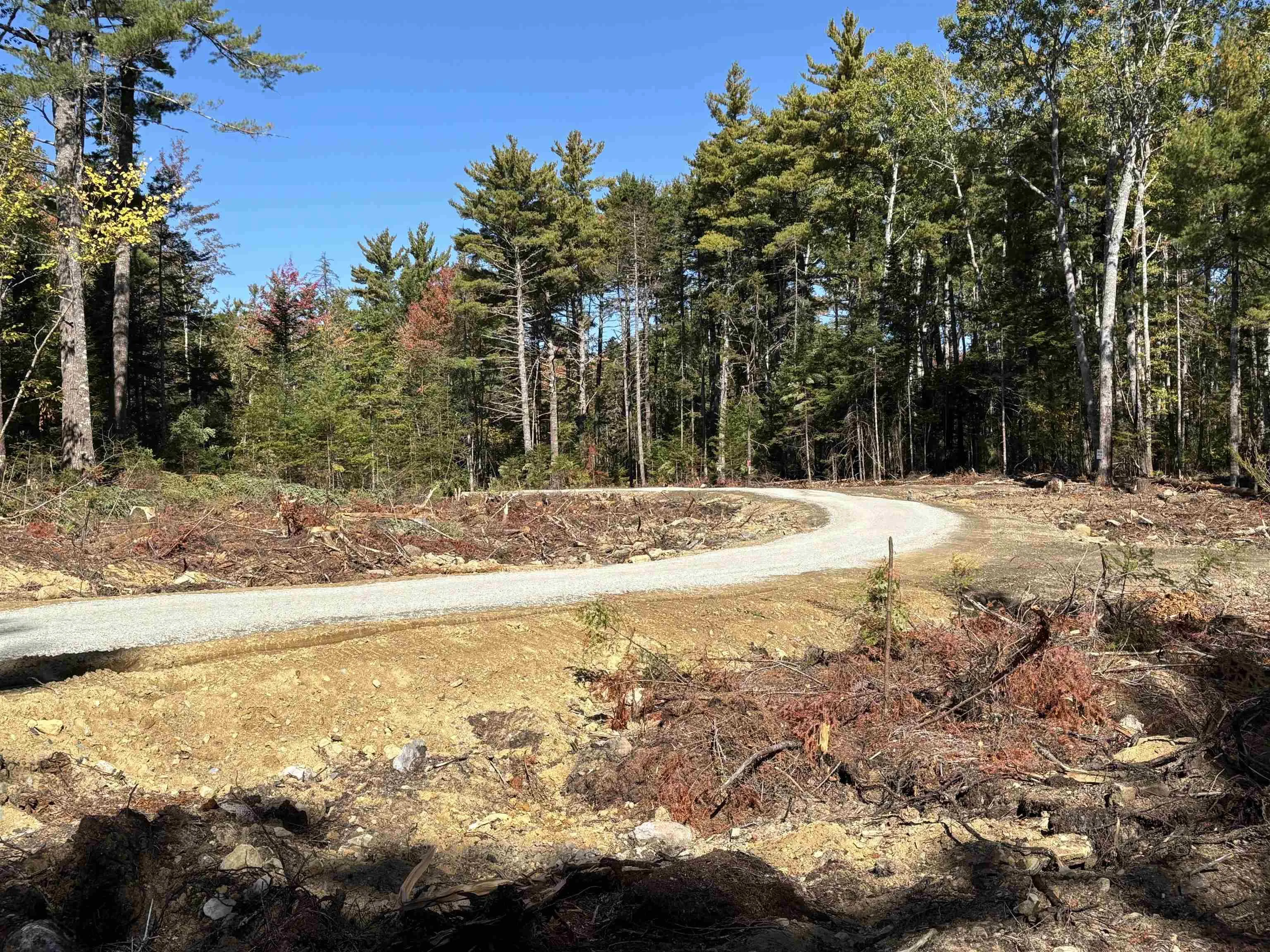 Highway 325 Lot 23, West Clifford, NS B4V 8H3, ,Land,For Sale,Highway 325,202524865