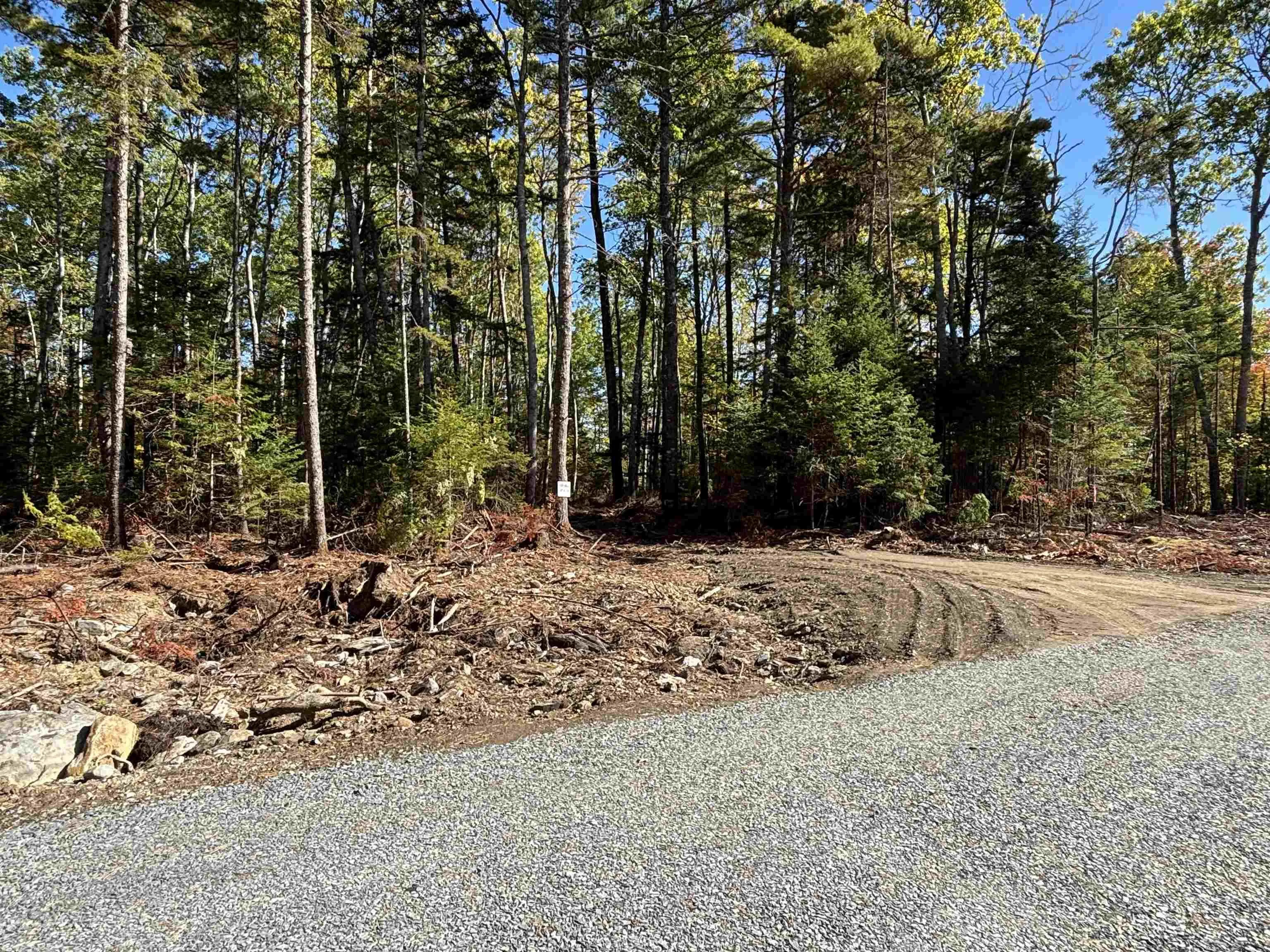 Highway 325 Lot 23, West Clifford, NS B4V 8H3, ,Land,For Sale,Highway 325,202524865