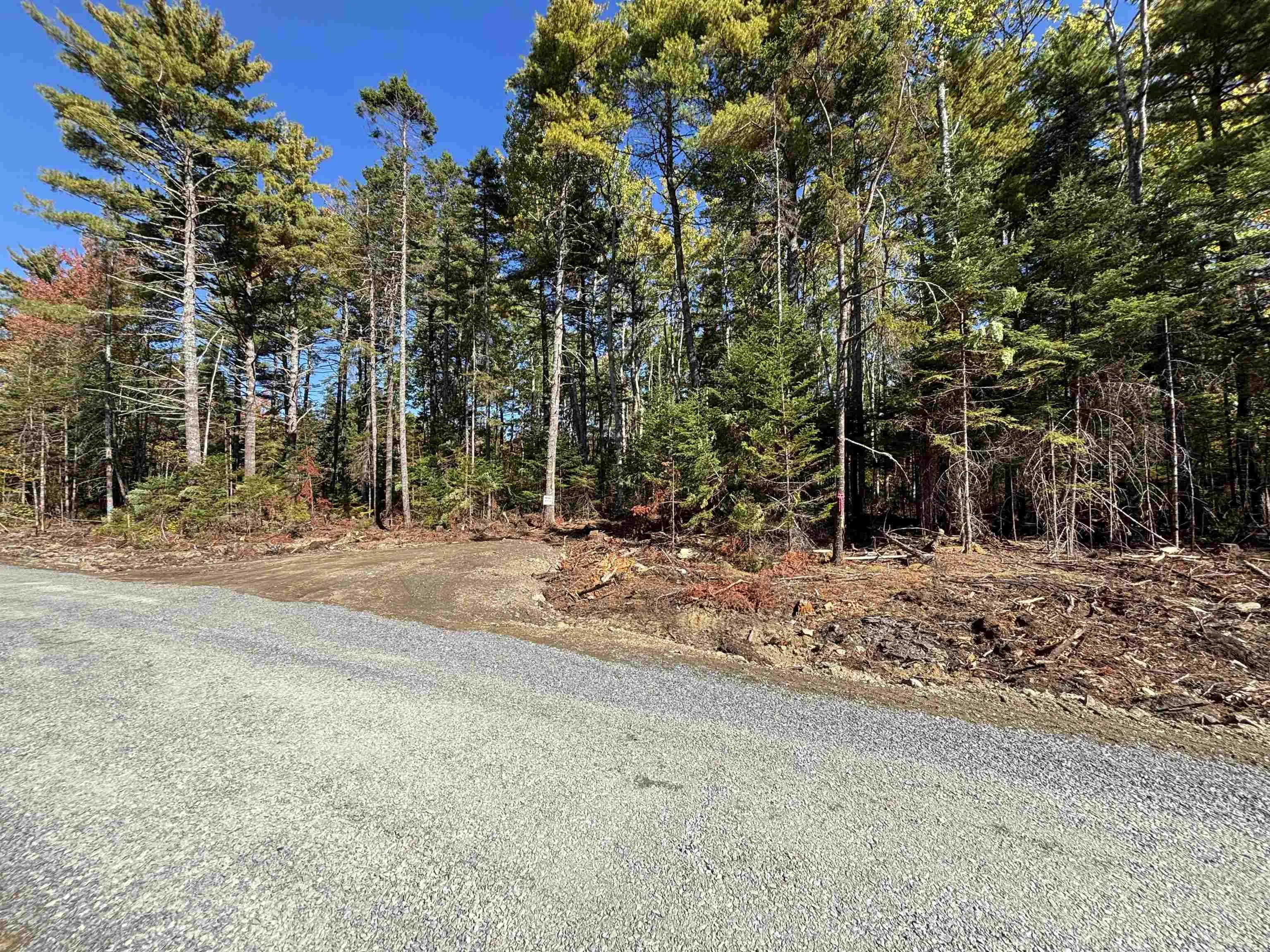 Highway 325 Lot 23, West Clifford, NS B4V 8H3, ,Land,For Sale,Highway 325,202524865