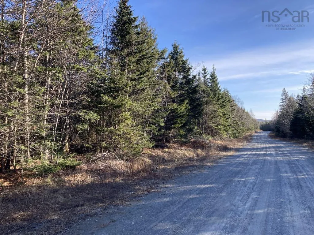 Dufferin Mines Road, Port Dufferin Ns B0j 2r0, ,Land,For Sale,Dufferin Mines,202501277