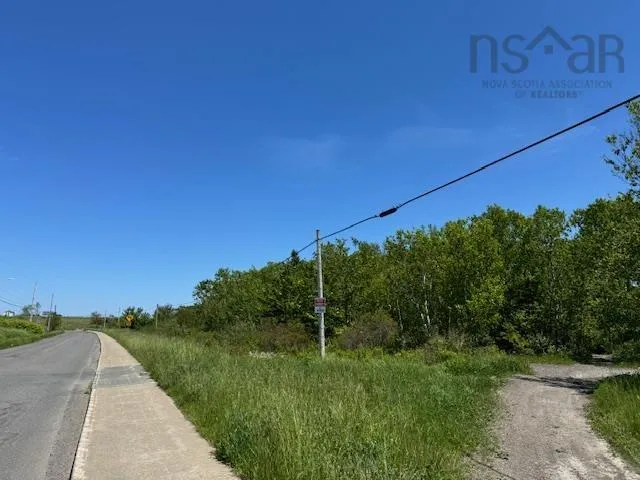 184 Pitt Street, Florence Ns B1y 1n8, ,Land,For Sale,Pitt,202415465
