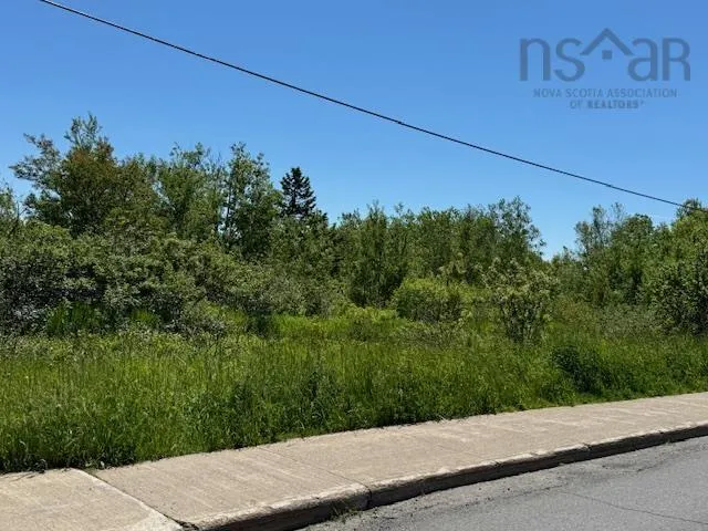 184 Pitt Street, Florence Ns B1y 1n8, ,Land,For Sale,Pitt,202415465