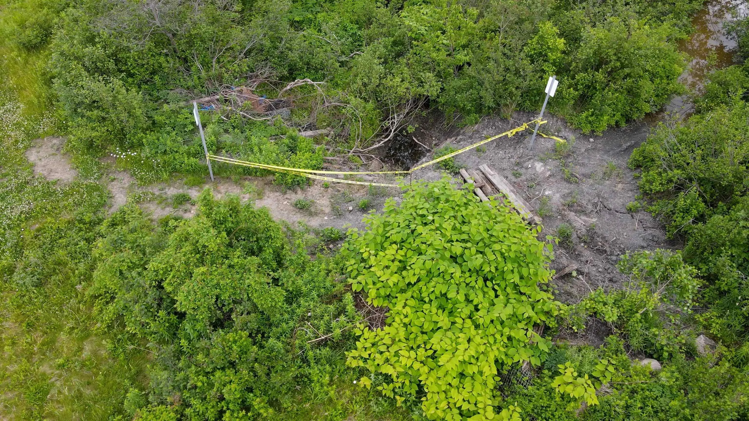 184 Pitt Street, Florence Ns B1y 1n8, ,Land,For Sale,Pitt,202415465