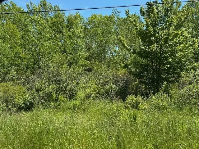184 Pitt Street, Florence Ns B1y 1n8, ,Land,For Sale,Pitt,202415465