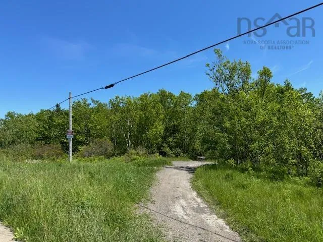 184 Pitt Street, Florence Ns B1y 1n8, ,Land,For Sale,Pitt,202415465
