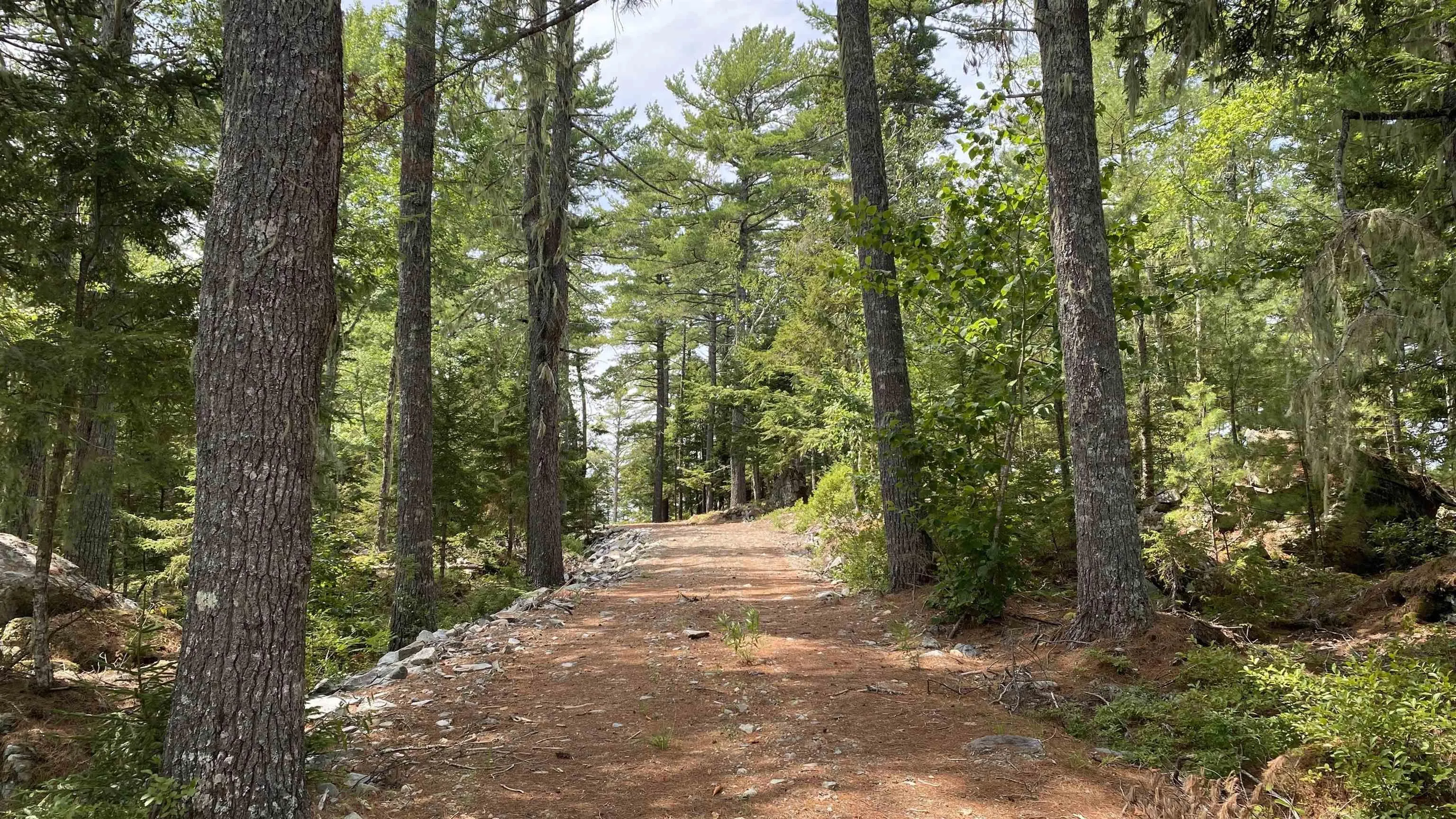 Handley's Point Road Lot 1, Labelle, NS B4V 8V1, ,Land,For Sale,Handley's Point,202520707