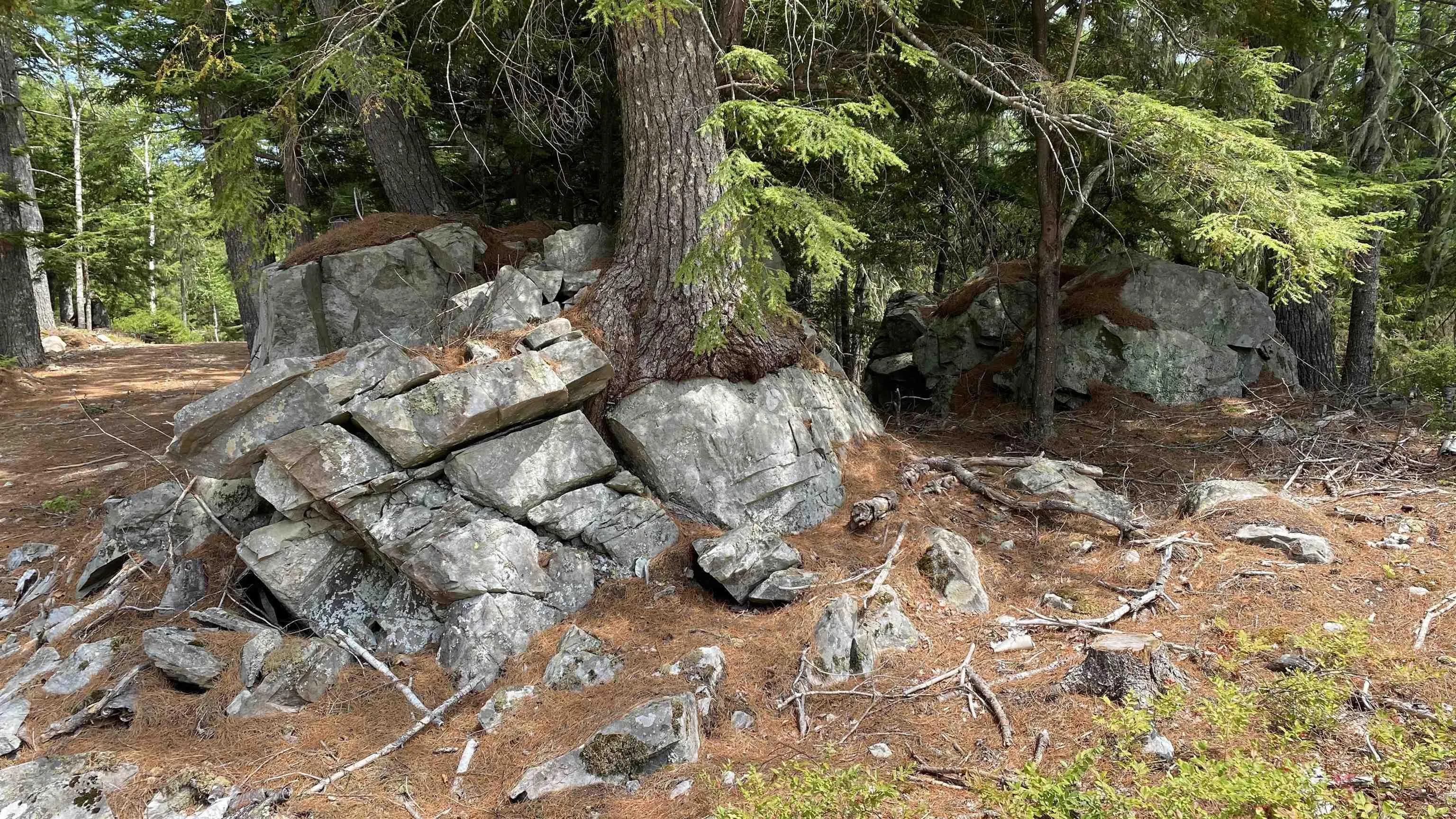 Handley's Point Road Lot 1, Labelle, NS B4V 8V1, ,Land,For Sale,Handley's Point,202520707