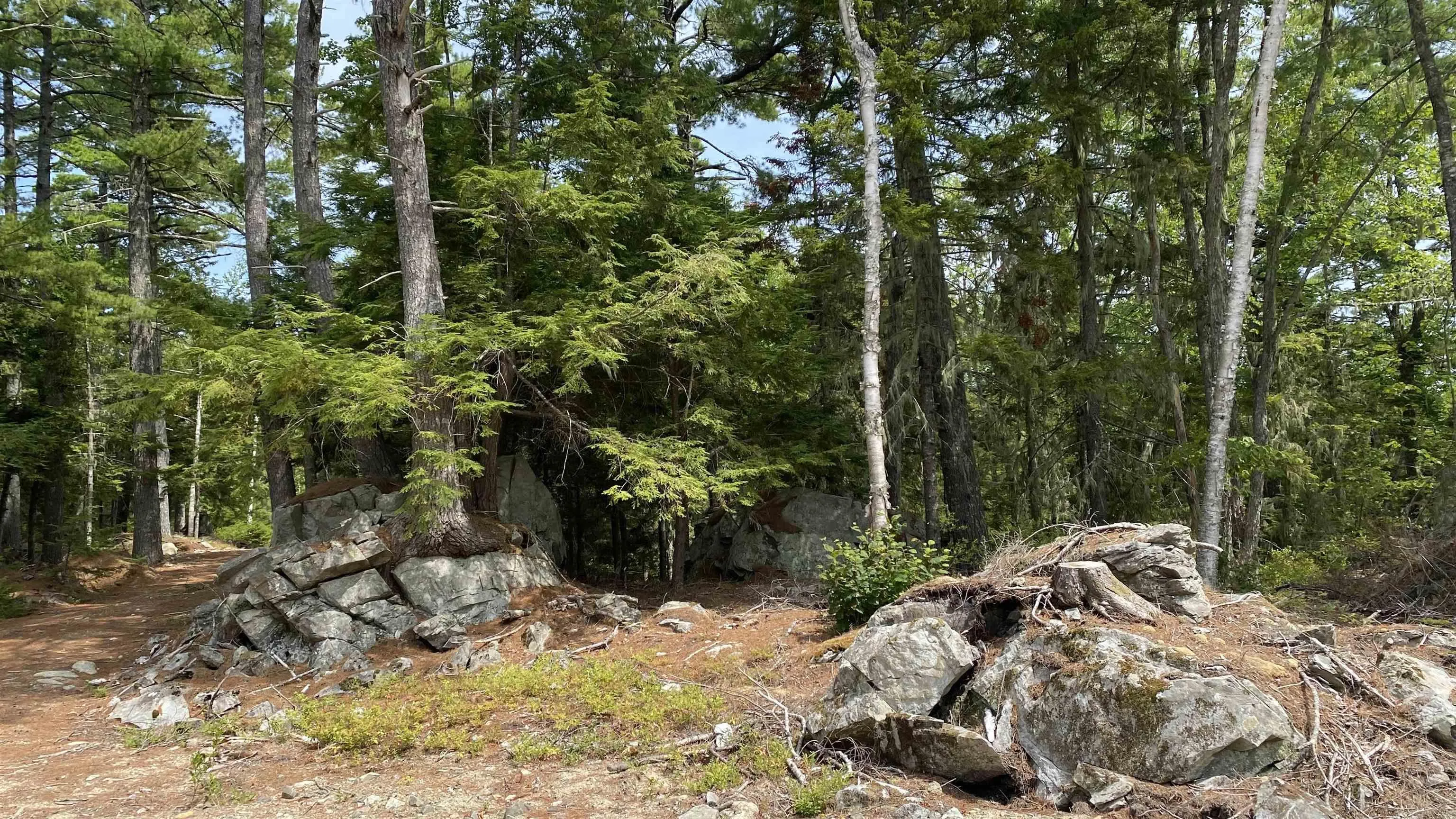 Handley's Point Road Lot 1, Labelle, NS B4V 8V1, ,Land,For Sale,Handley's Point,202520707