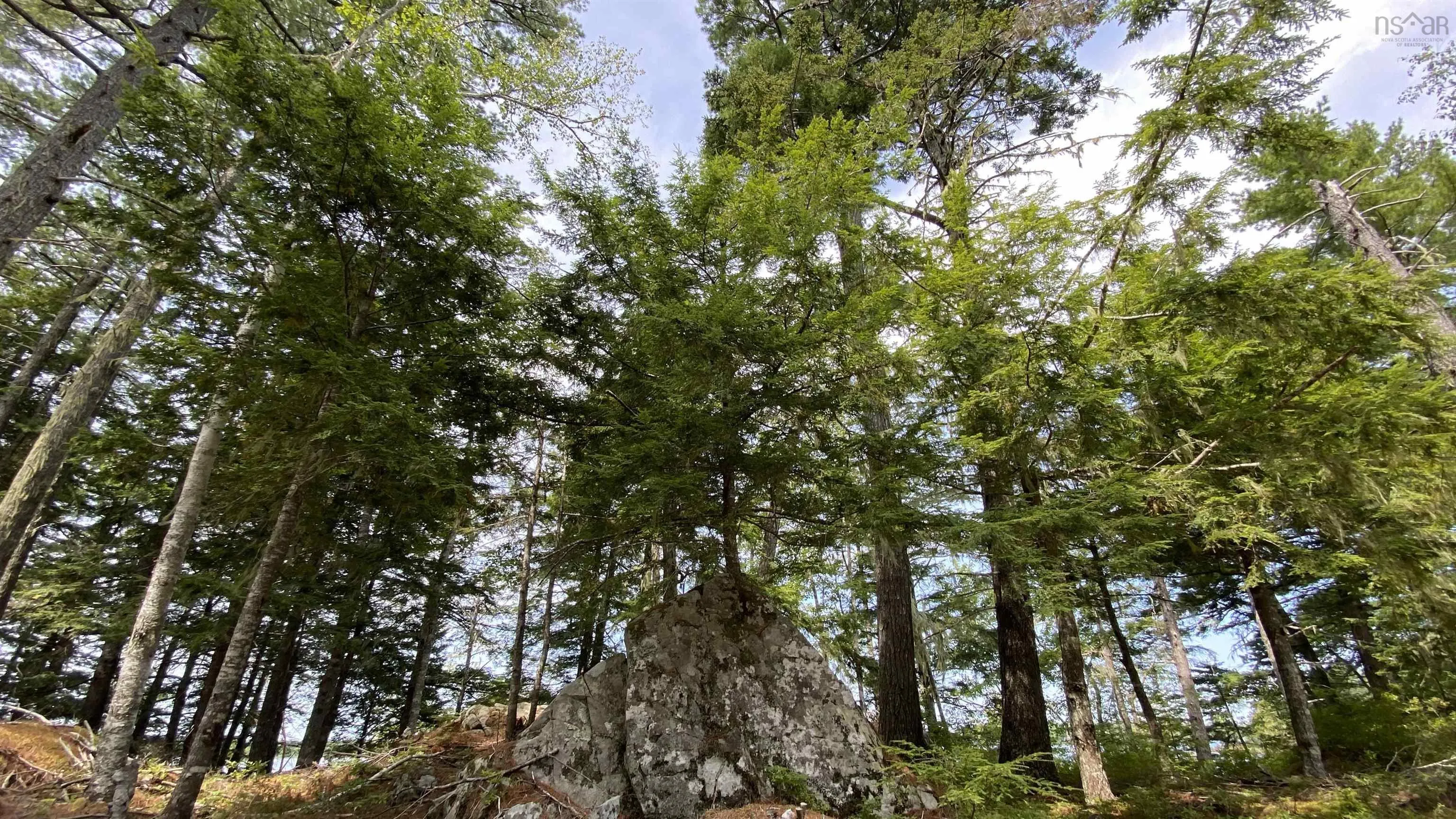 Handley's Point Road Lot 1, Labelle, NS B4V 8V1, ,Land,For Sale,Handley's Point,202520707