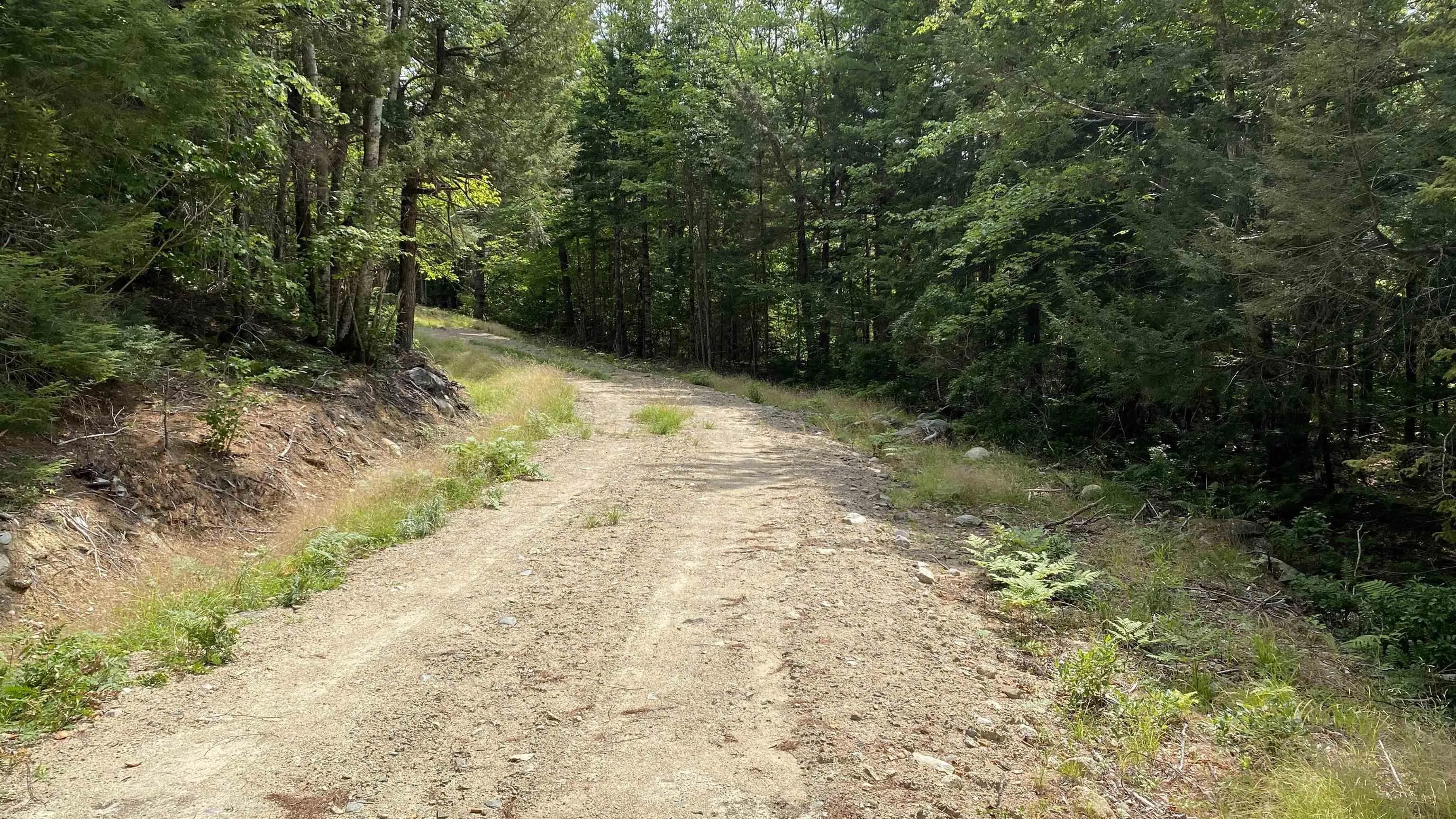 Handley's Point Road Lot 1, Labelle, NS B4V 8V1, ,Land,For Sale,Handley's Point,202520707